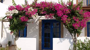 A white building with blue doors and windows, surrounded by a garden with pink and white flowers.
