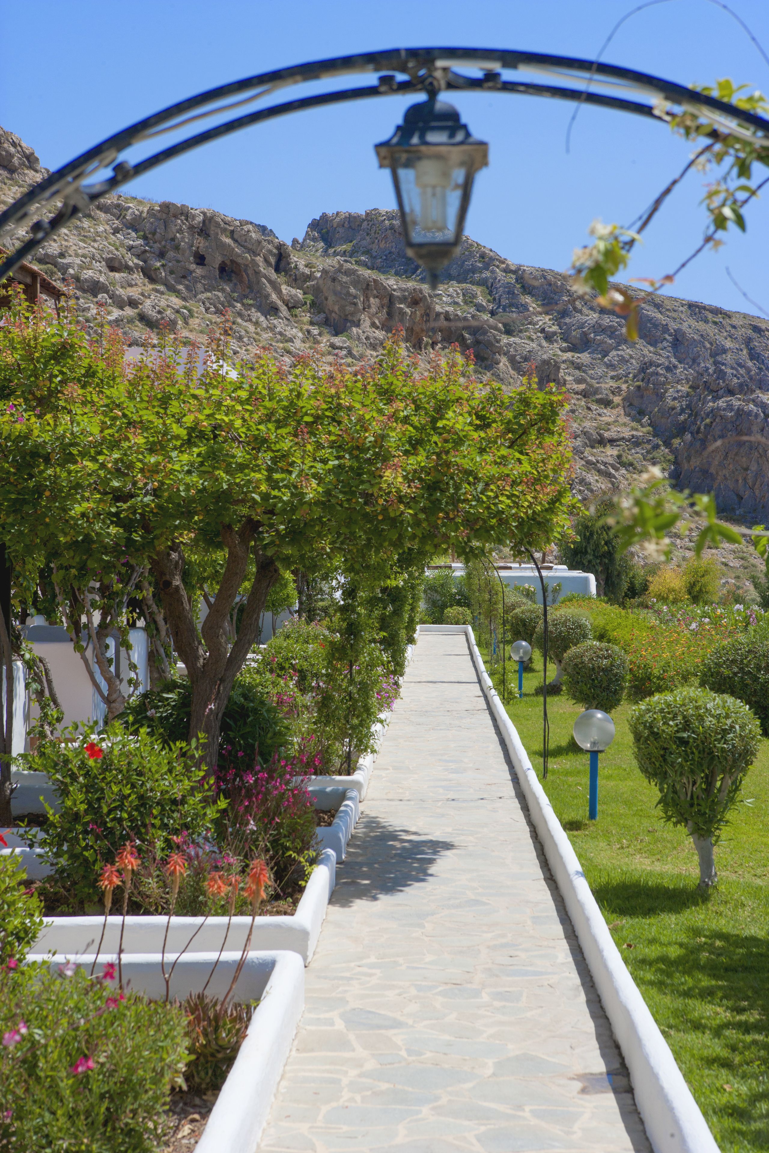 Un sendero bordeado de plantas en flor y un farol, que conduce hacia un paisaje montañoso.