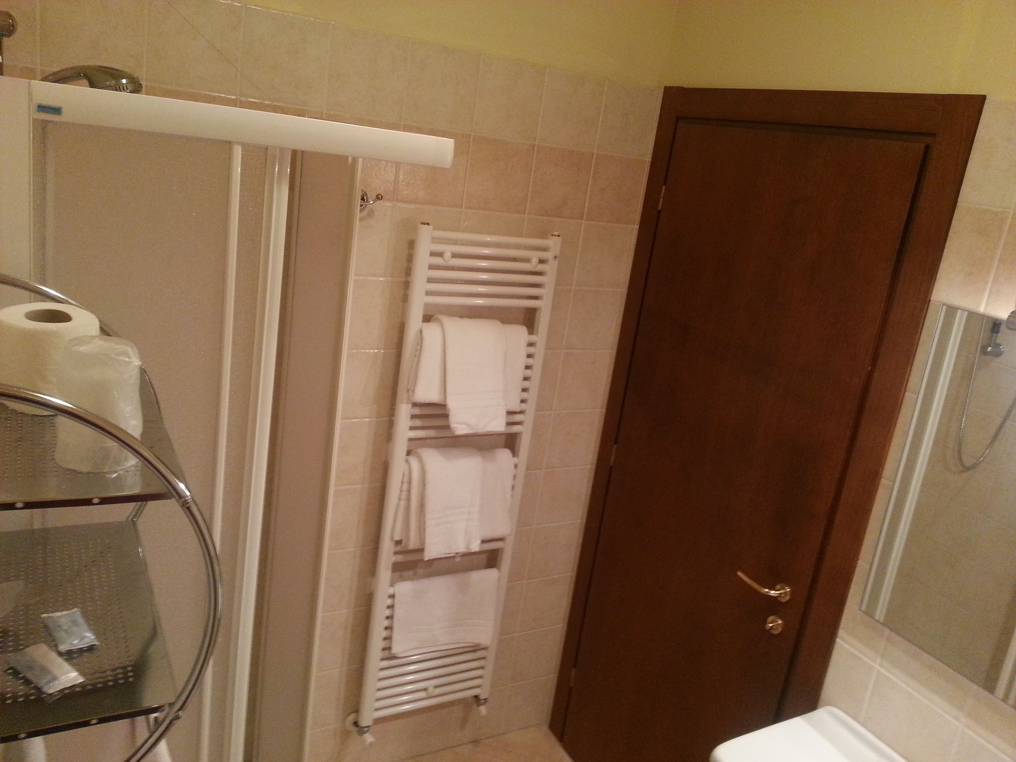 shower, free toiletries, hair dryer, bidet