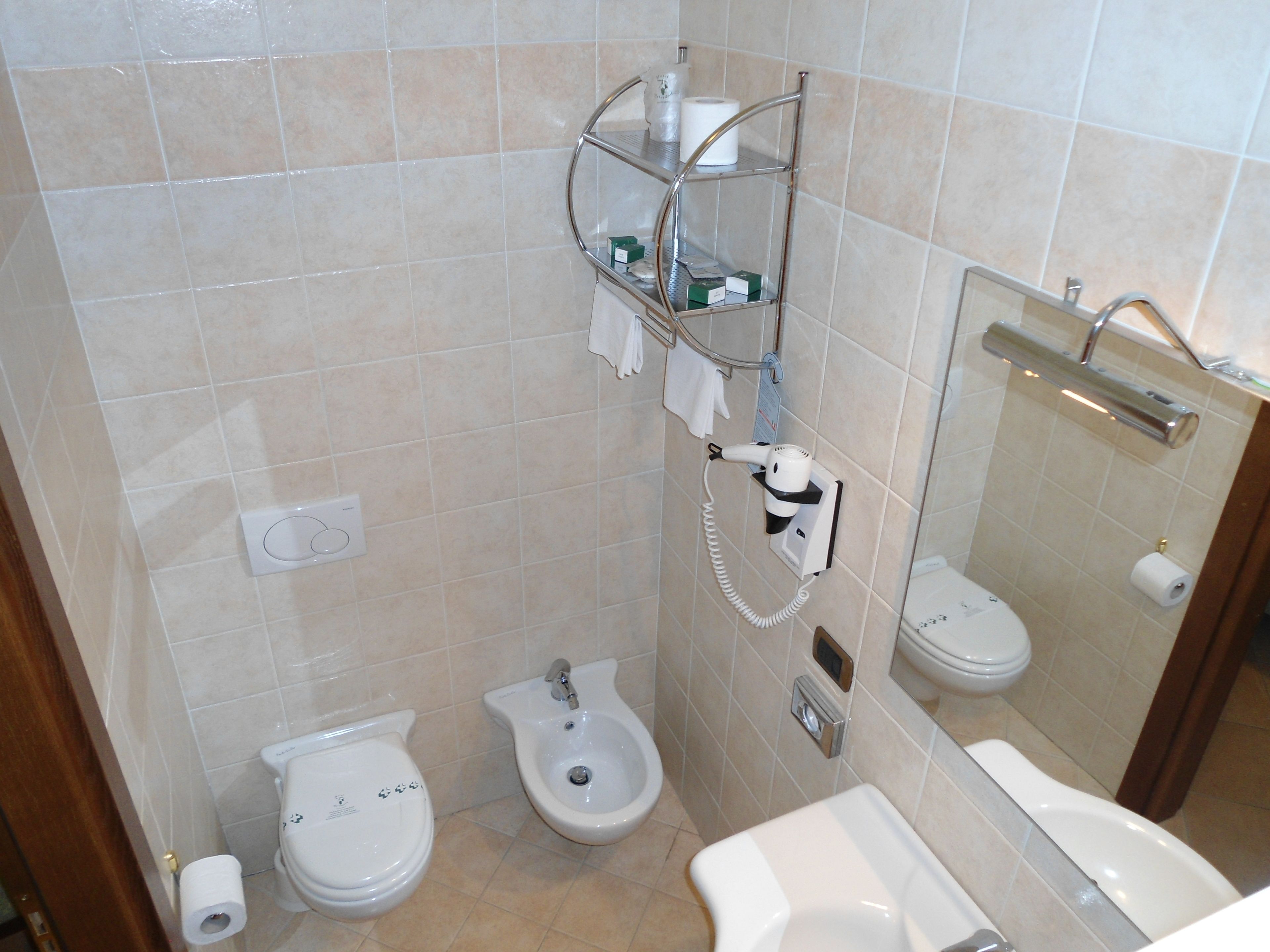 shower, free toiletries, hair dryer, bidet