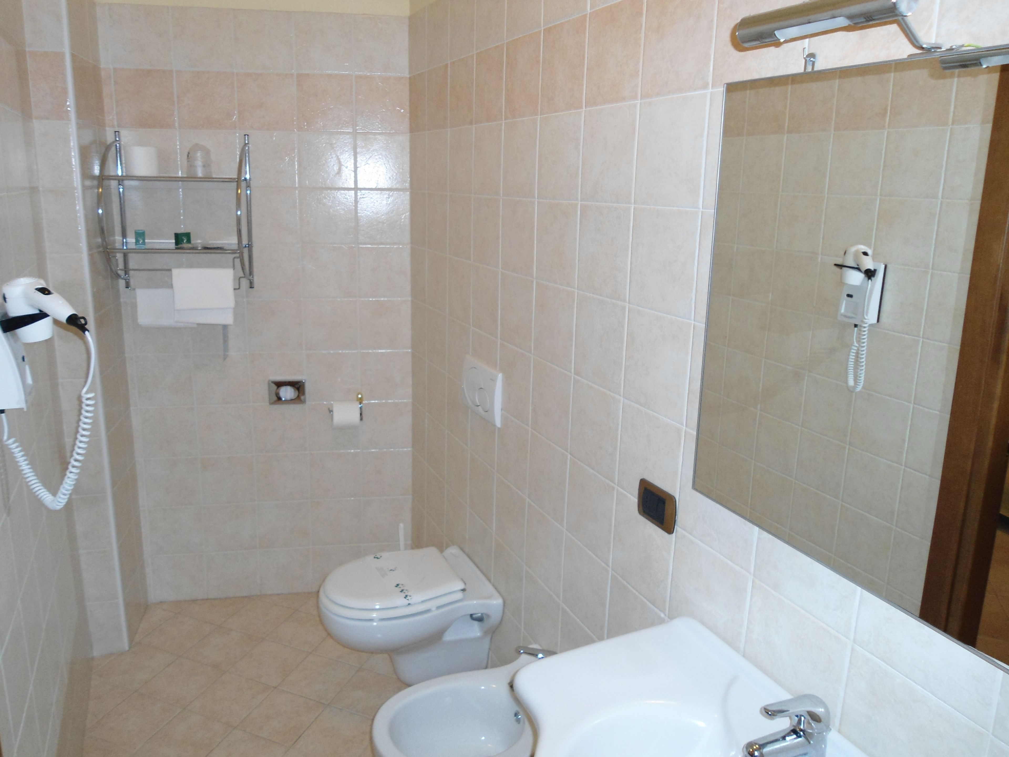 shower, free toiletries, hair dryer, bidet