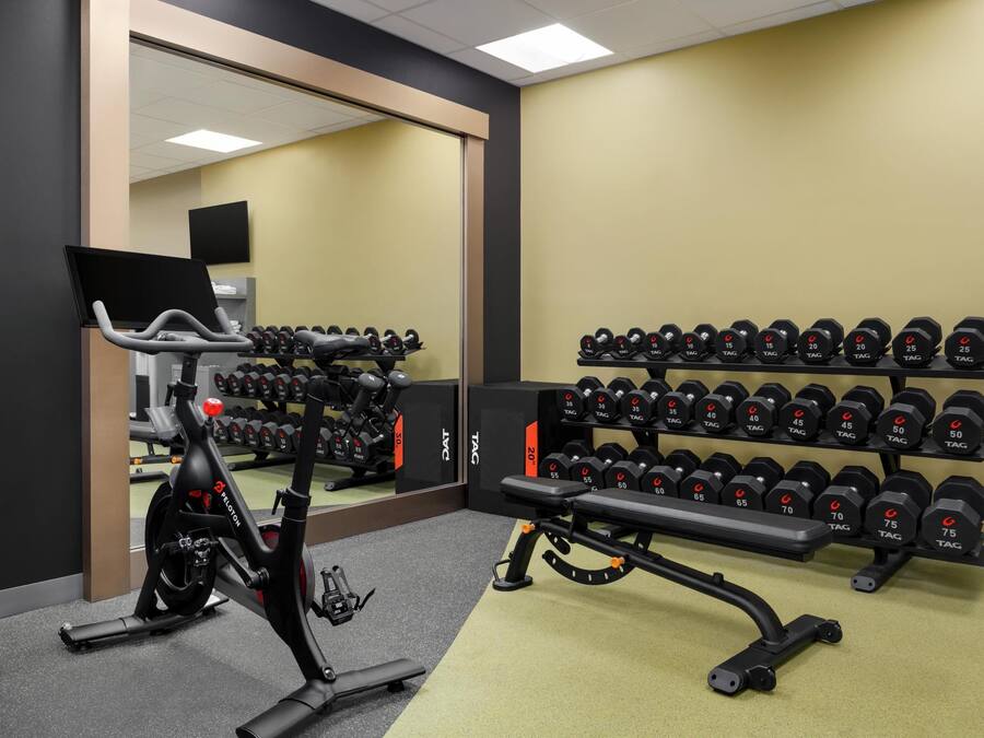 A gym with an exercise bike, a bench, and a rack of dumbbells.