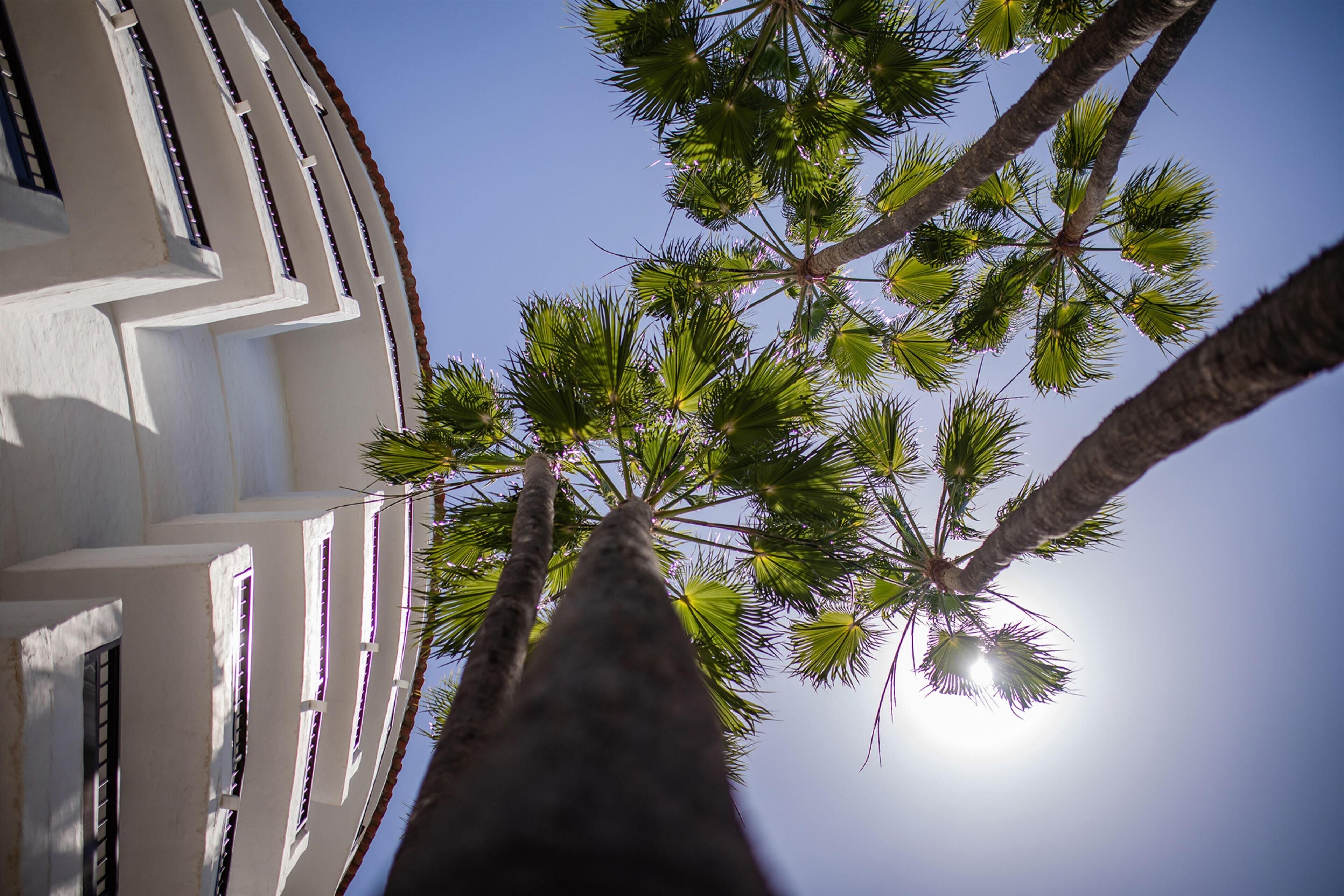 Foto - Servatur Waikiki