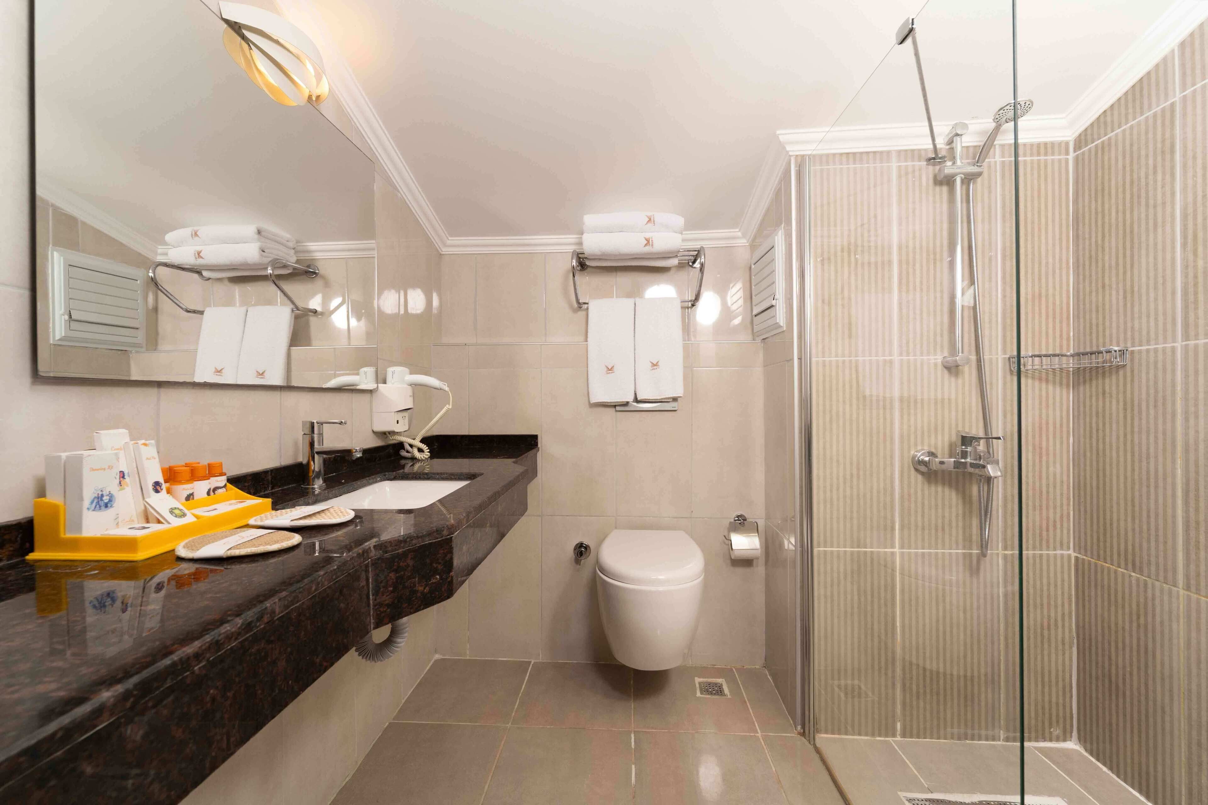A modern bathroom with a glass shower, a sink with a mirror, and a toilet.