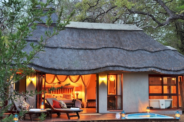 Suite | View from room