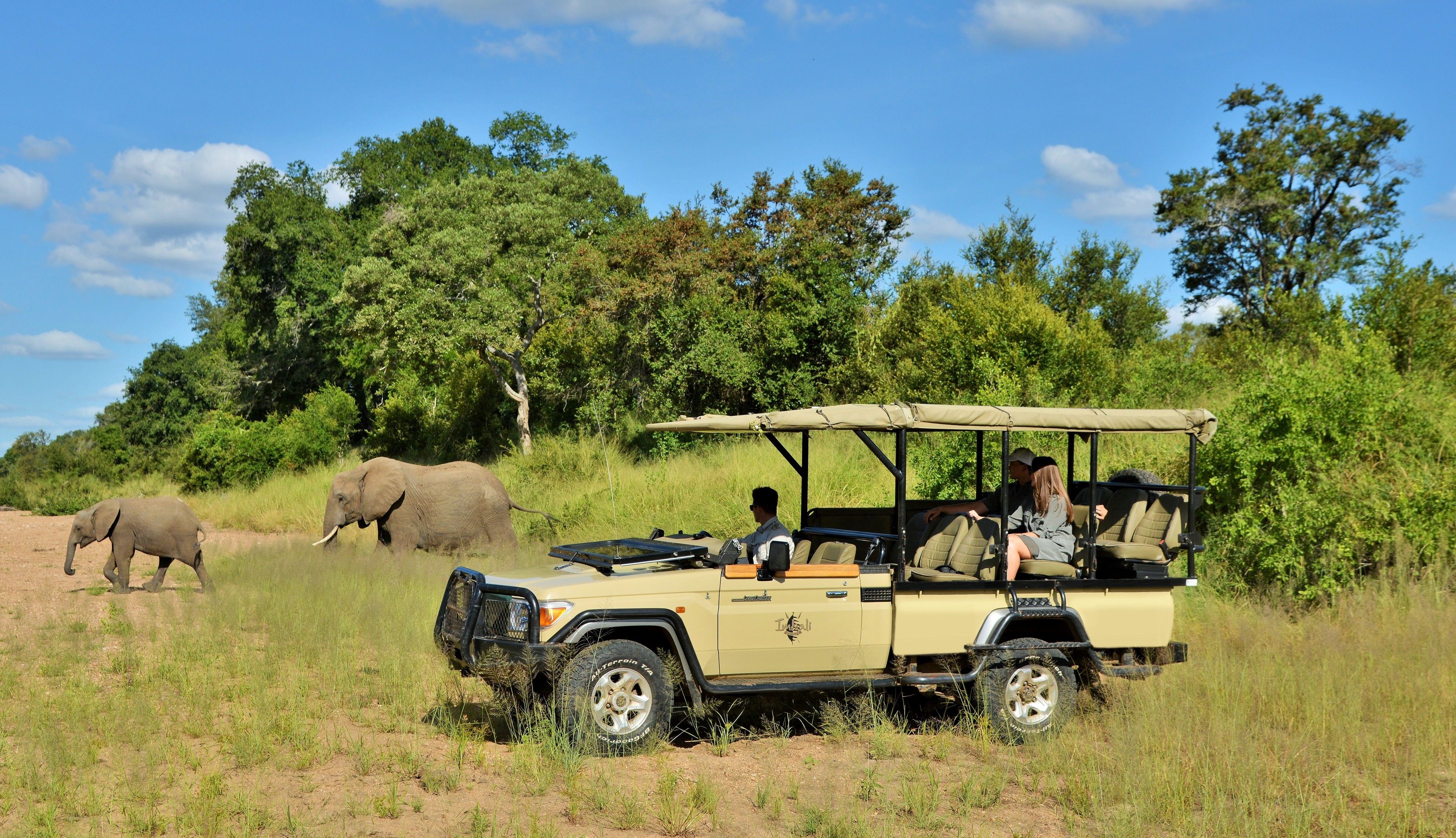 A safari vehicle with passengers observing wildlife, including elephants, in a natural setting.
