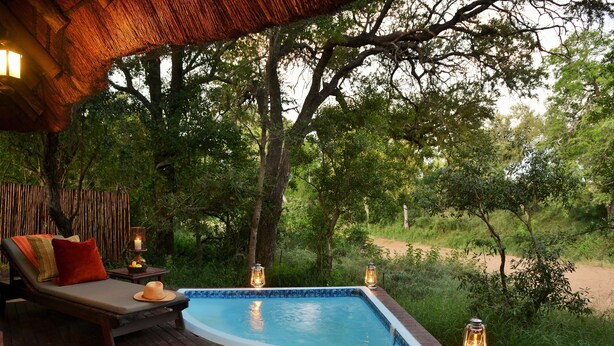A hot tub with wooden deck, surrounded by lush greenery and trees. - Imbali Safari Lodge (Imbali Concession)