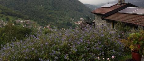 Un paisaje montañoso con una casa de techo de tejas y paredes de piedra, rodeada de abundante vegetación y flores moradas.