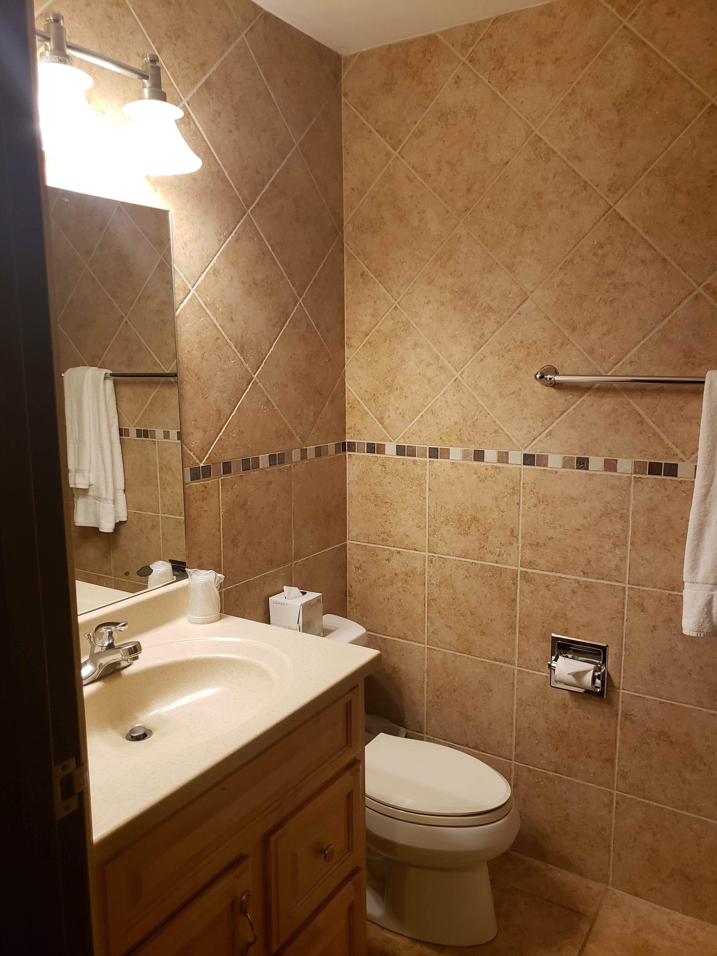 hair dryer, towels, soap, shampoo