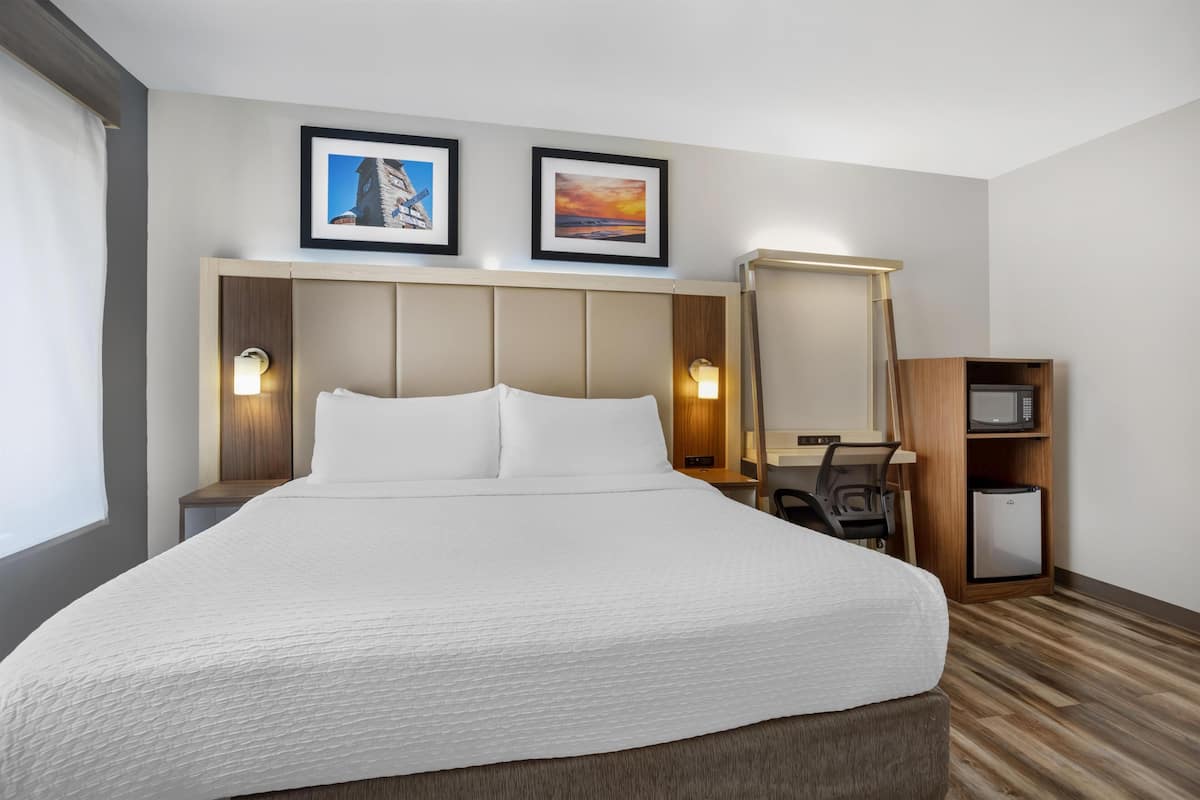 Standard Room, 1 King Bed, Accessible, Bathtub | Premium bedding, desk, iron/ironing board, WiFi (free)