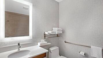 Een moderne badkamer met een wastafel, spiegel, toilet, handdoekhouder en douche.