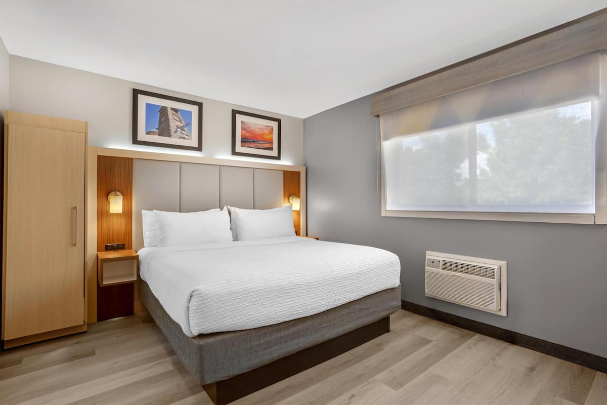 Standard Room, 1 King Bed, Non Smoking | Premium bedding, desk, iron/ironing board, WiFi (free)