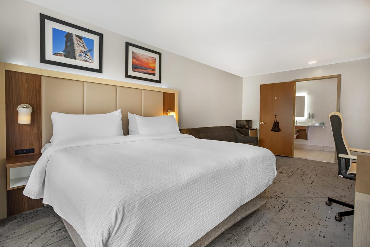 Standard Room, 1 King Bed, Accessible, Non Smoking (Walk-in Shower) | Premium bedding, desk, iron/ironing board, WiFi (free)