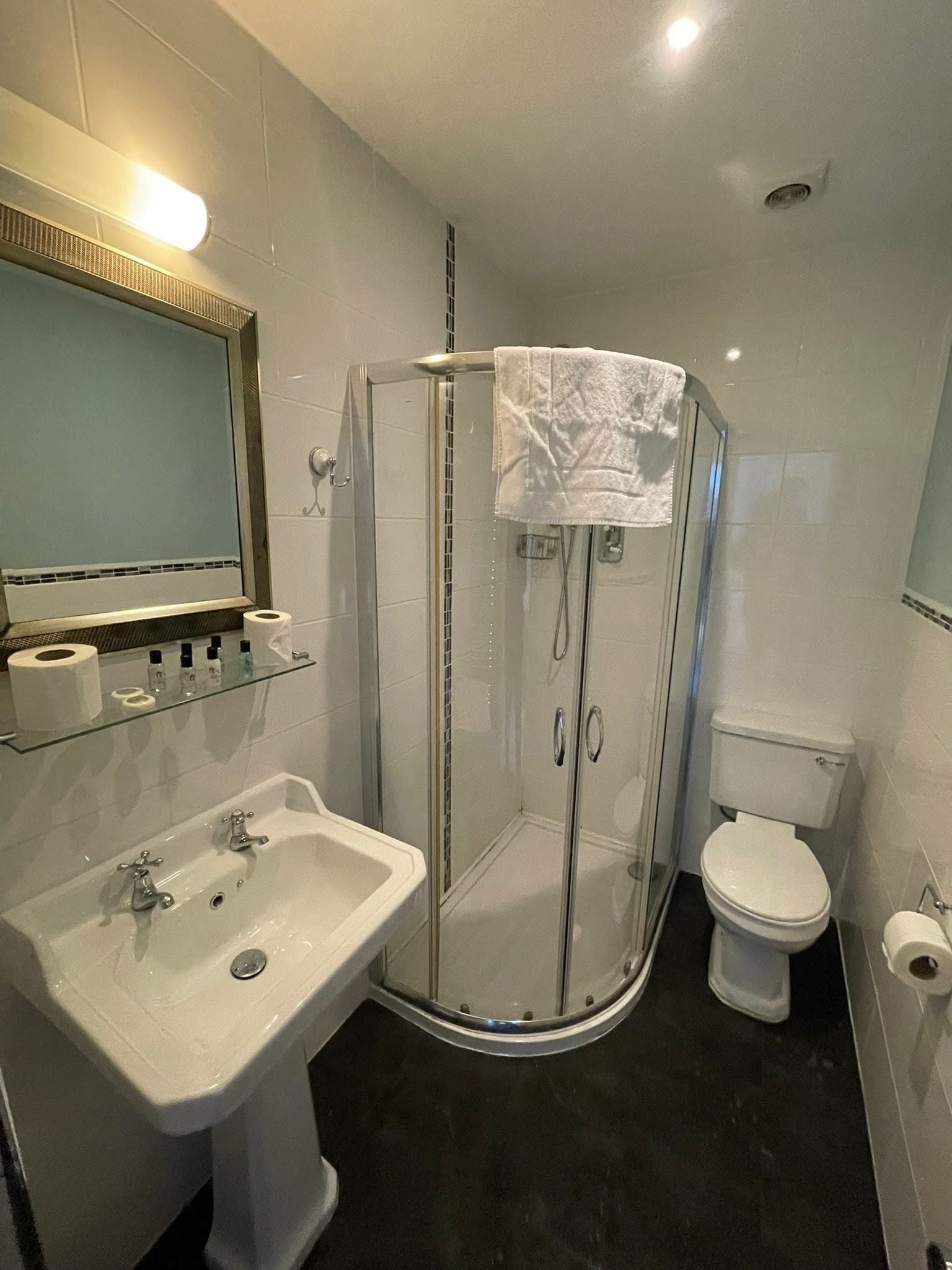 A modern bathroom with a glass-enclosed shower, a sink with a mirror, and a toilet.