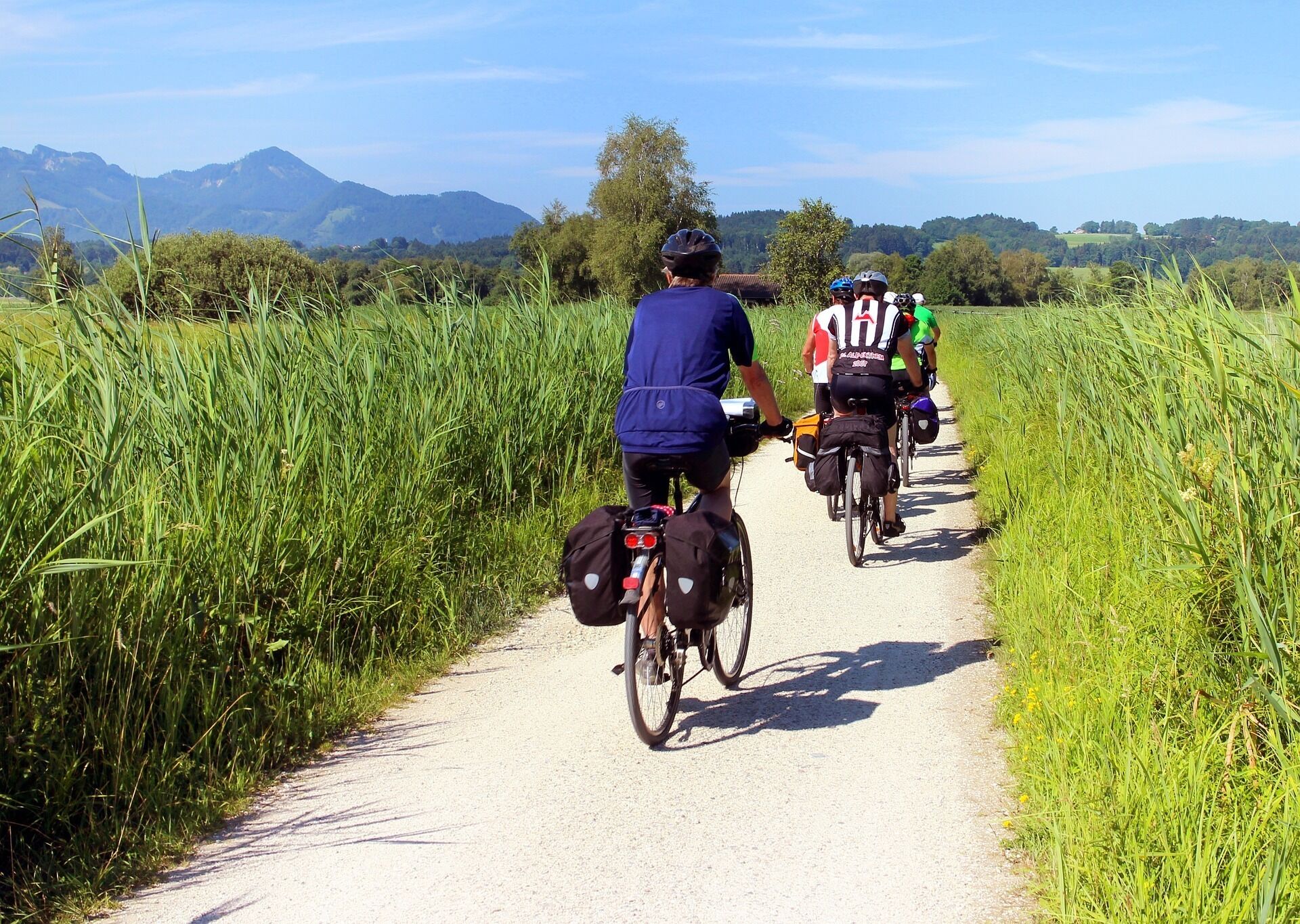 Un groupe de cyclistes sur un chemin de gravier, entouré d’herbes hautes et d’arbres, avec des montagnes en arrière-plan.