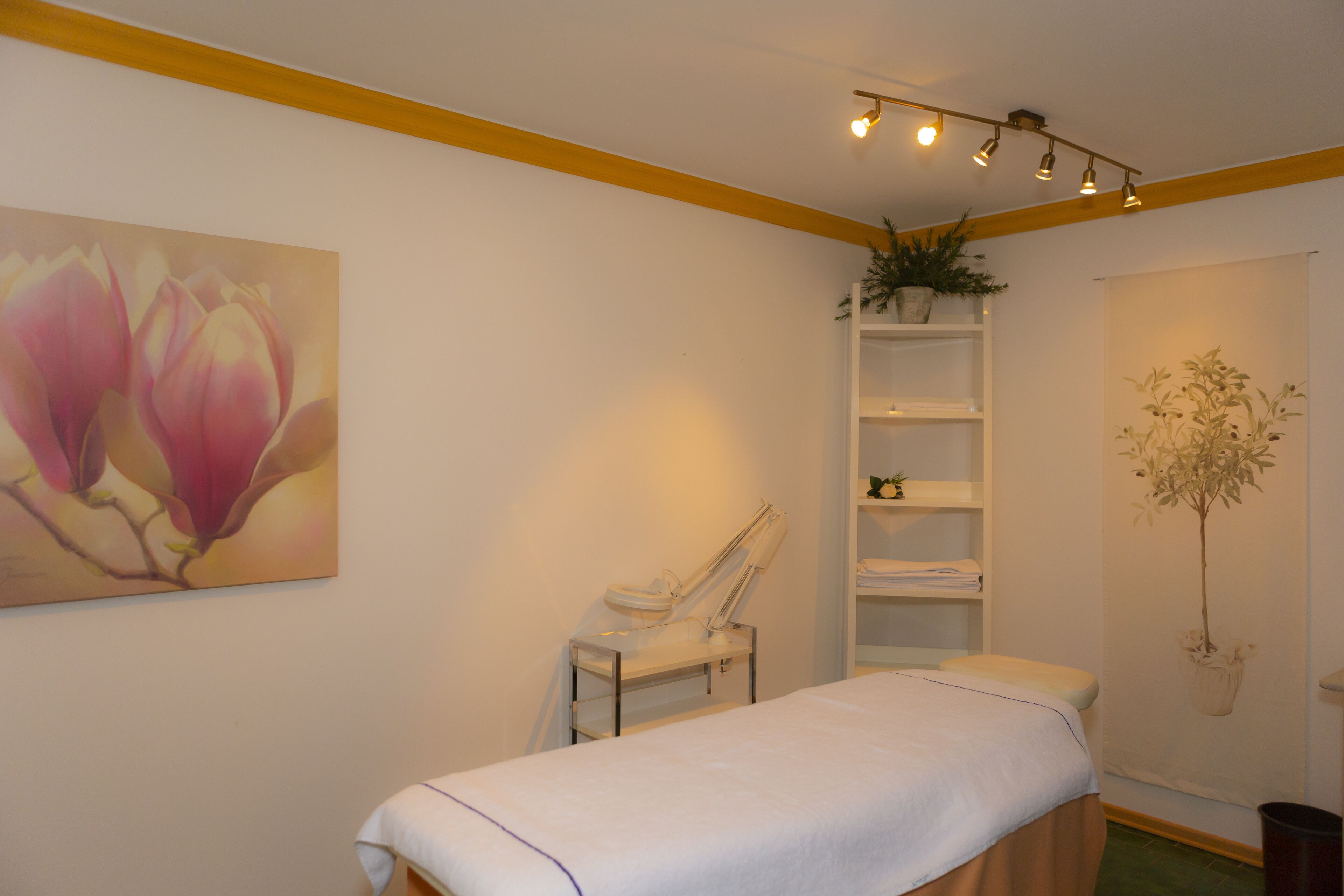 A room with a bed, a massage table, shelves with plants, and artwork on the walls.