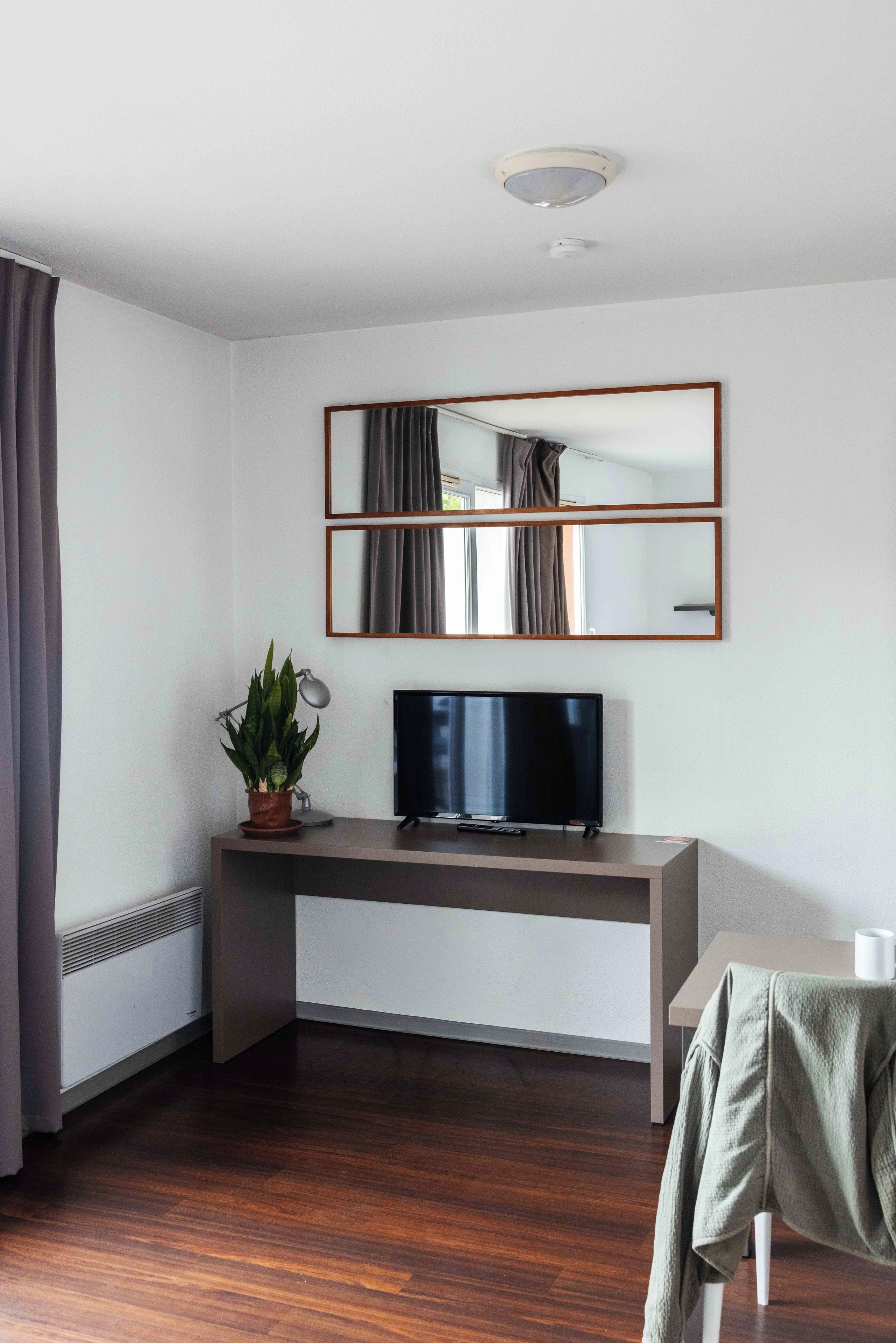 A modern living room with a flat-screen TV, a potted plant, and a large mirror on the wall.