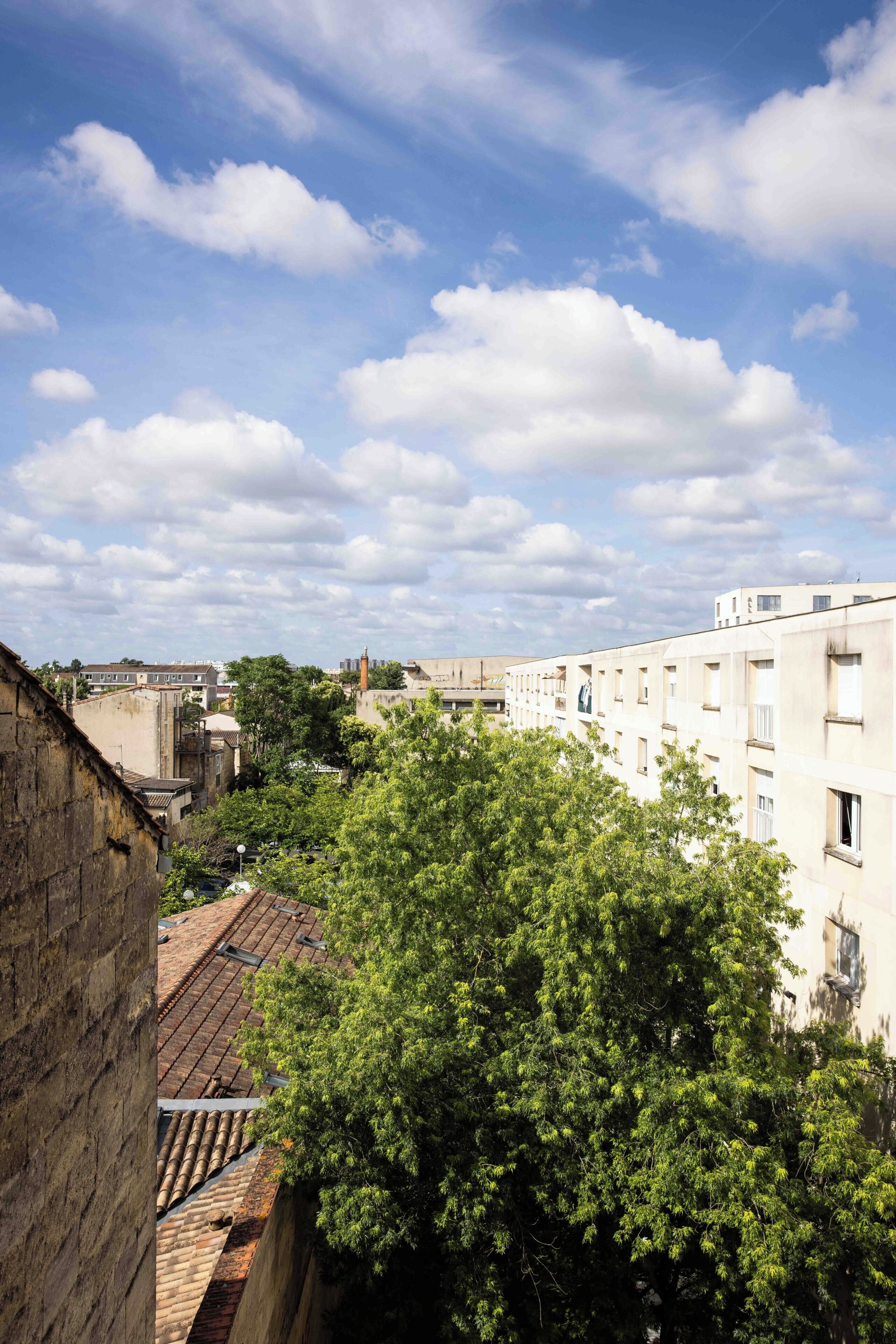 Eine Stadtsicht mit einer Mischung aus moderner und traditioneller Architektur, einschließlich eines markanten Baumes im Vordergrund.