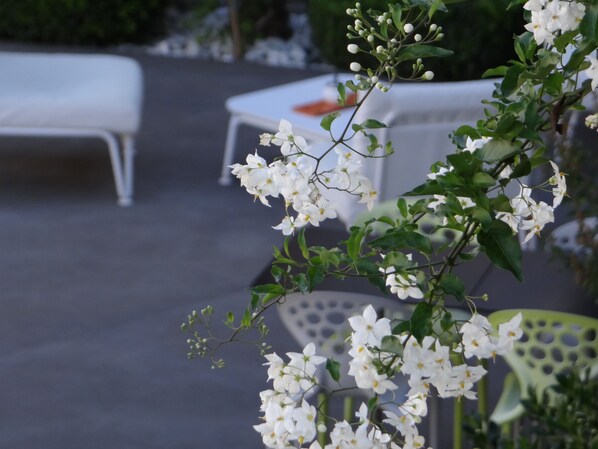 Un comedor con mesas y sillas blancas, un banco y una planta con flores en primer plano.