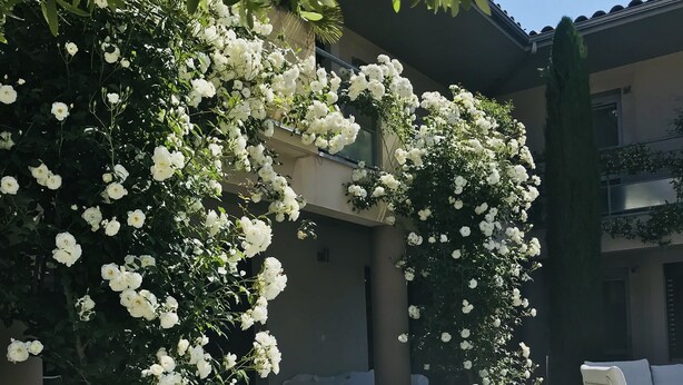 A patio area with white outdoor furniture, including a table and two chairs, surrounded by lush white flowering plants. - Hôtel Le Patio de Violette (Uzès)