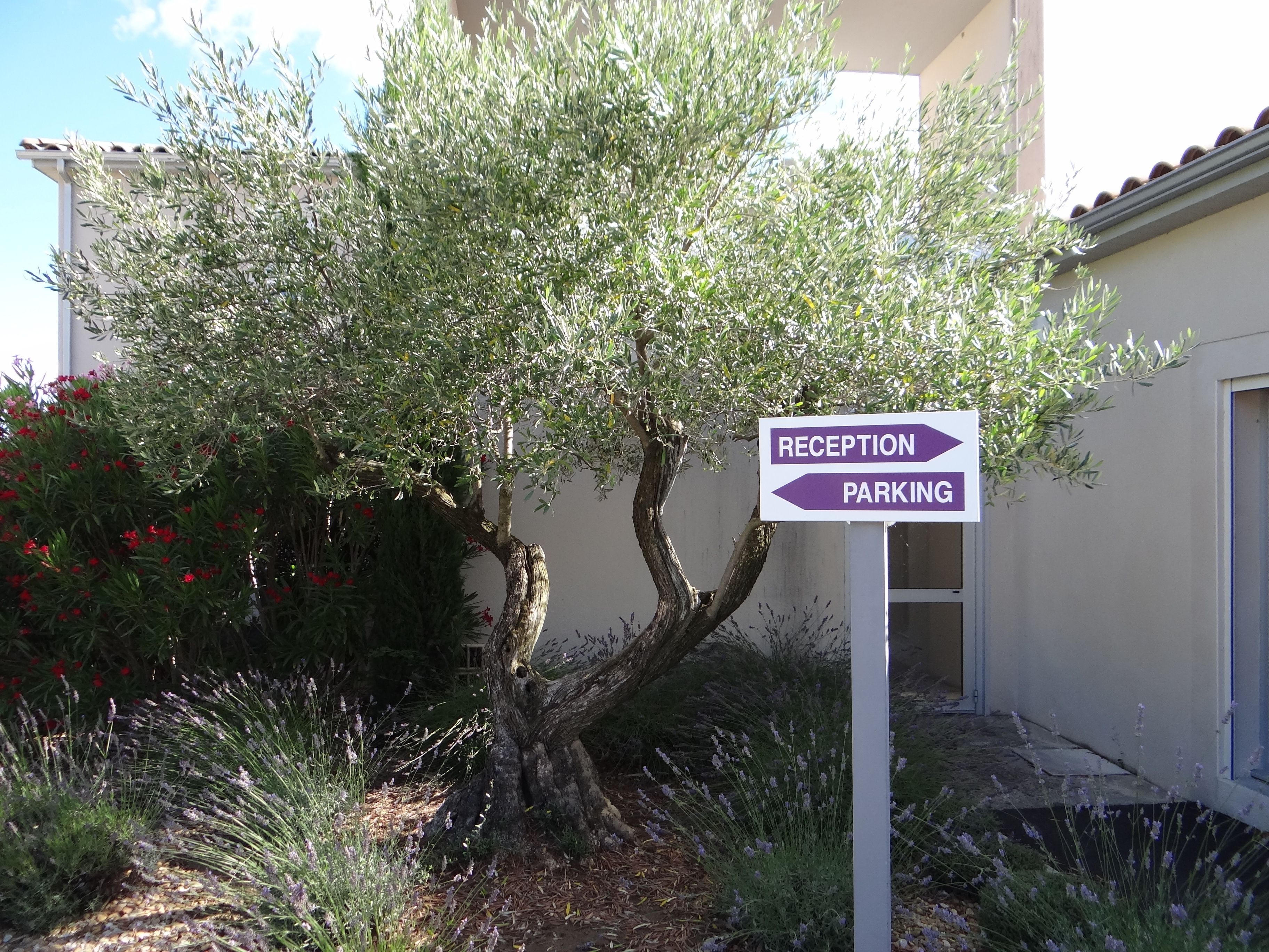 check-in/check-out kiosk