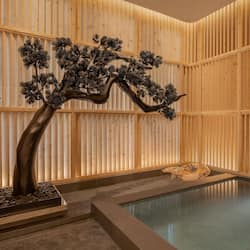 Couples treatment room(s), hot tub, steam room, body treatments
