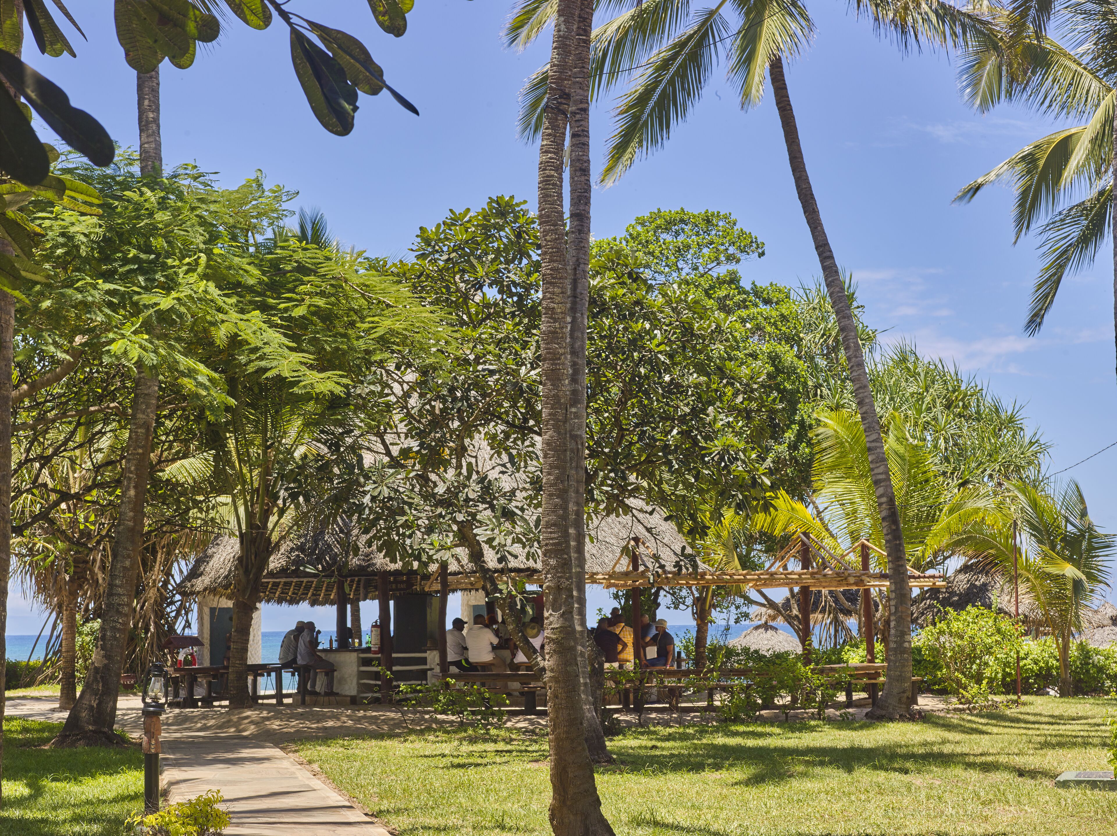 A beachside restaurant with outdoor seating, surrounded by palm trees and a clear view of the ocean.