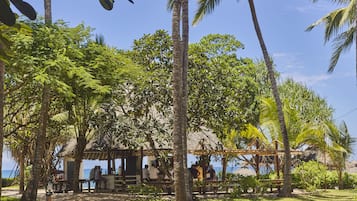 Un restaurante frente a la playa con terraza, rodeado de palmeras y vistas despejadas al océano.