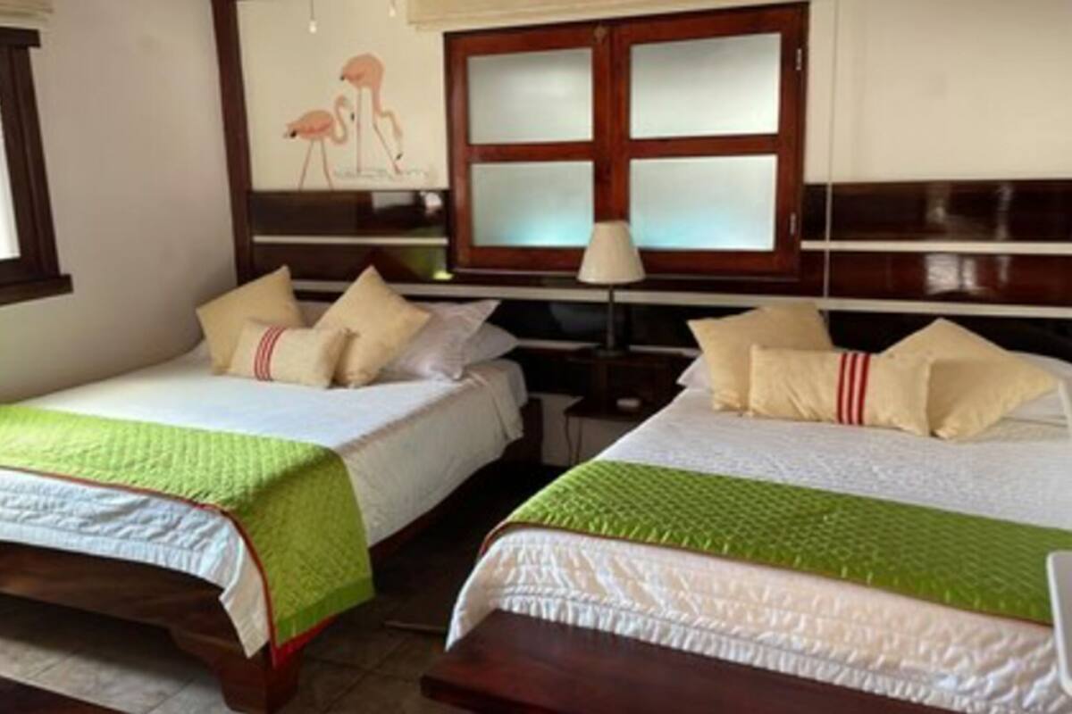 Habitación de hotel con dos camas, cada una con cubrecama verde y blanco, y cabeceros de madera. Se ve una ventana con persianas, una mesita de noche con lámpara, y un cuadro en la pared con flamencos.