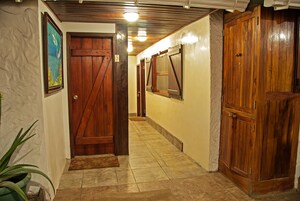 Un pasillo con puertas de madera, un cuadro en la pared y una planta en maceta.