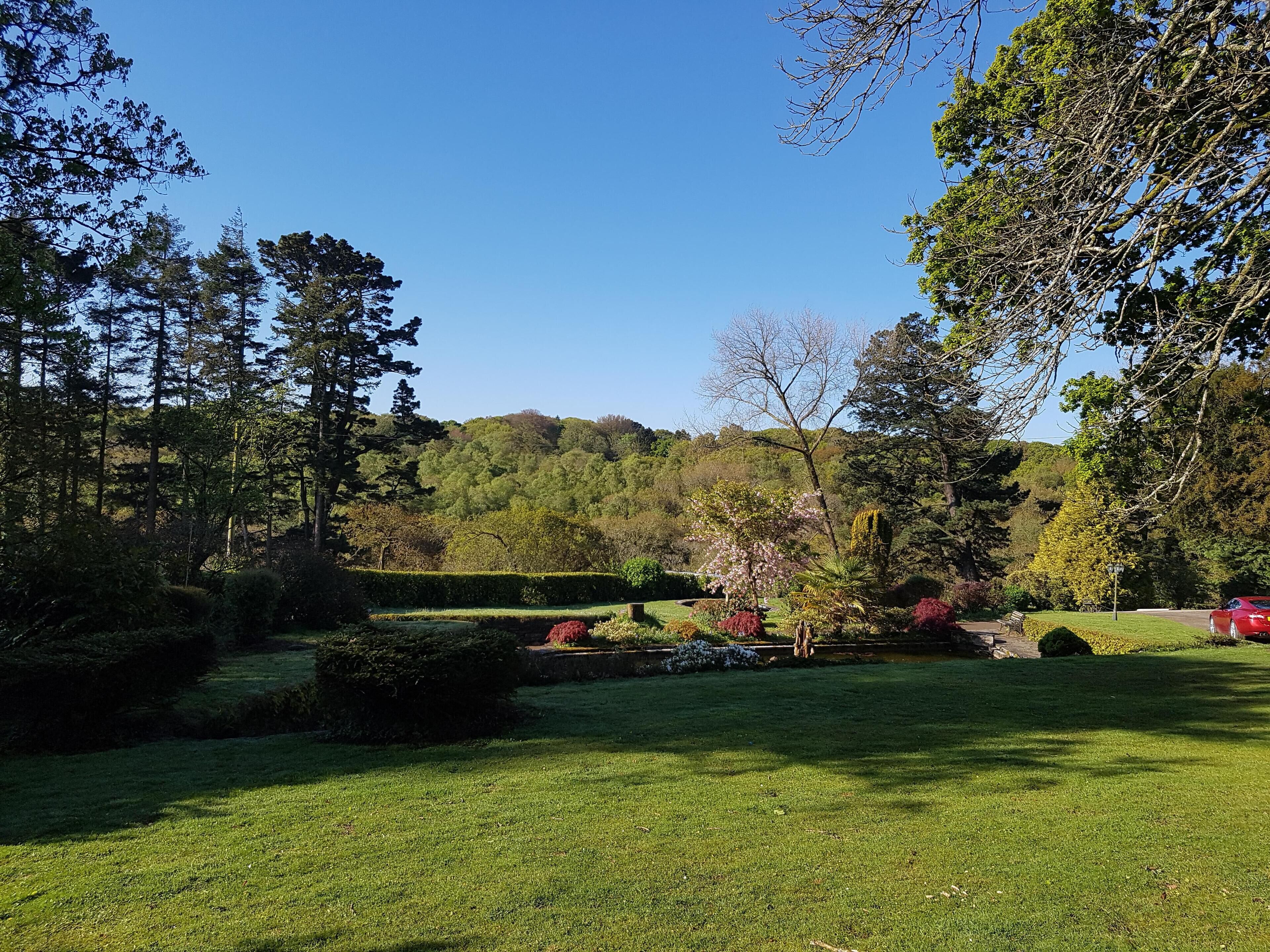 A well-maintained garden with a variety of trees and shrubs, a clear blue sky, and a red car parked on the side.