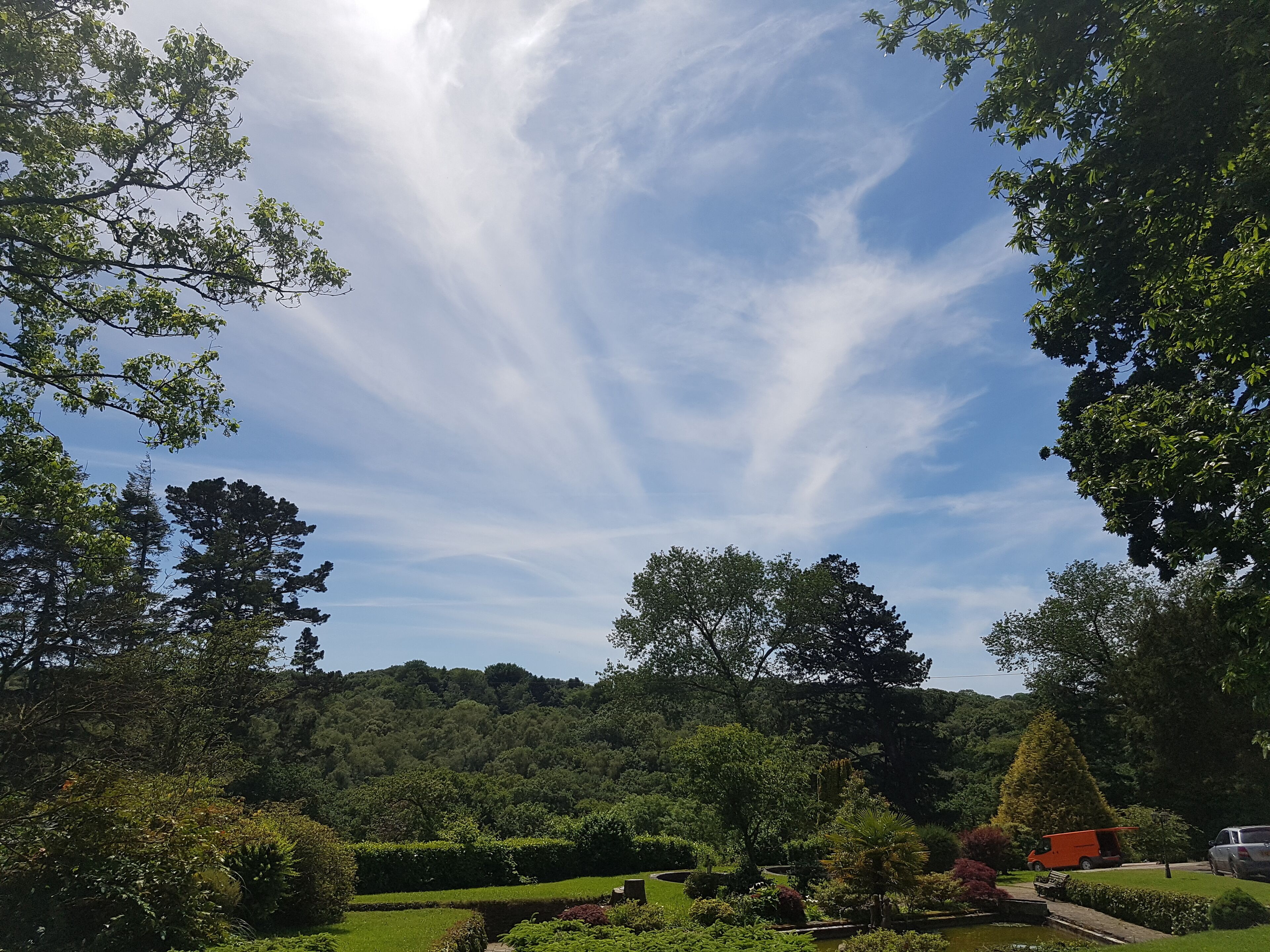 A lush garden with a variety of plants and trees, a clear sky, and a distant hill.