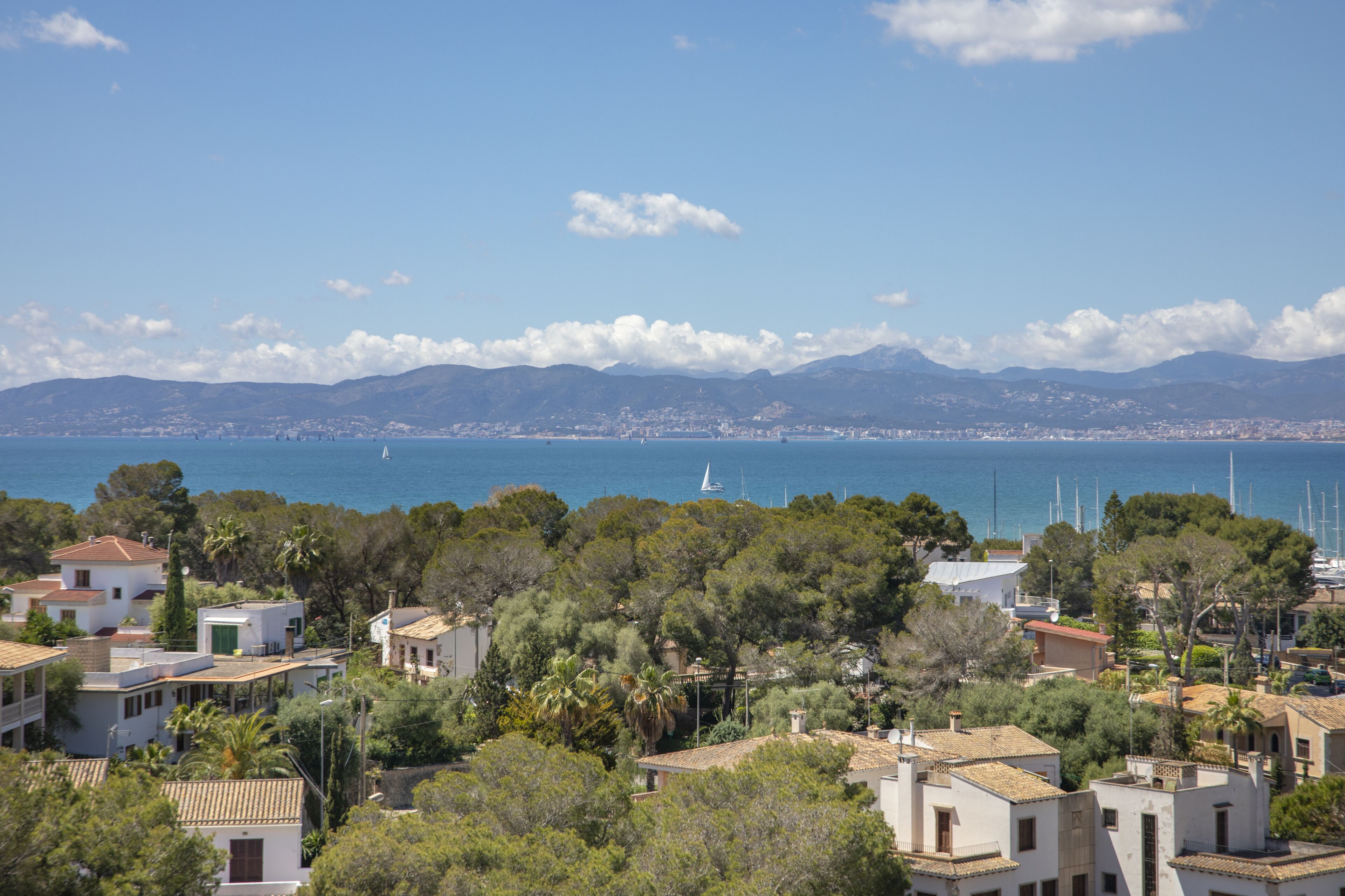 Ein Küstenwohngebiet mit Häusern, Bäumen und Blick auf Meer und Berge im Hintergrund.