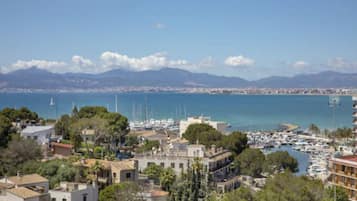 A coastal town with buildings, a marina, and mountains in the background.