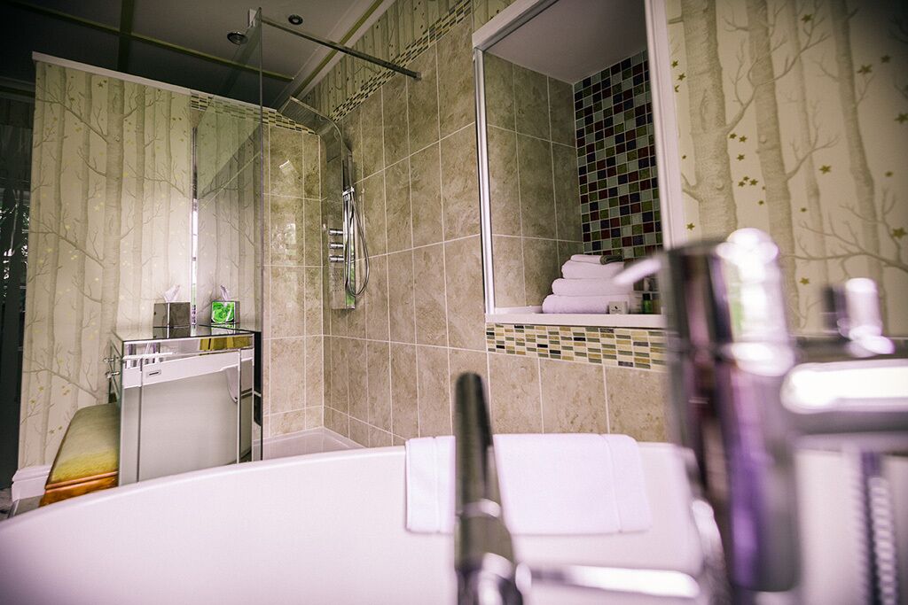 deluxe double room, 1 king bed | bathroom | shower, designer toiletries, towels