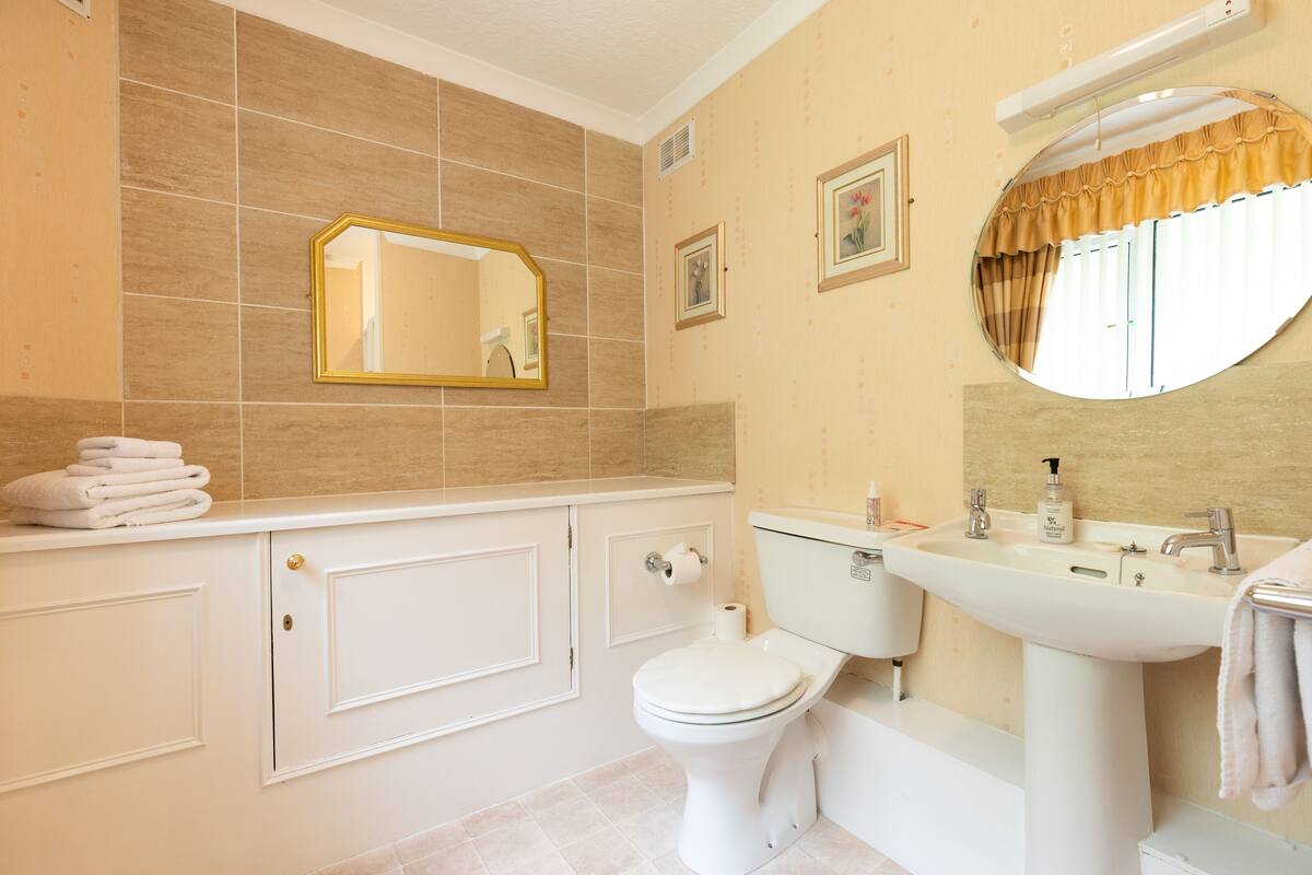 A bathroom with a toilet, sink, and mirror.