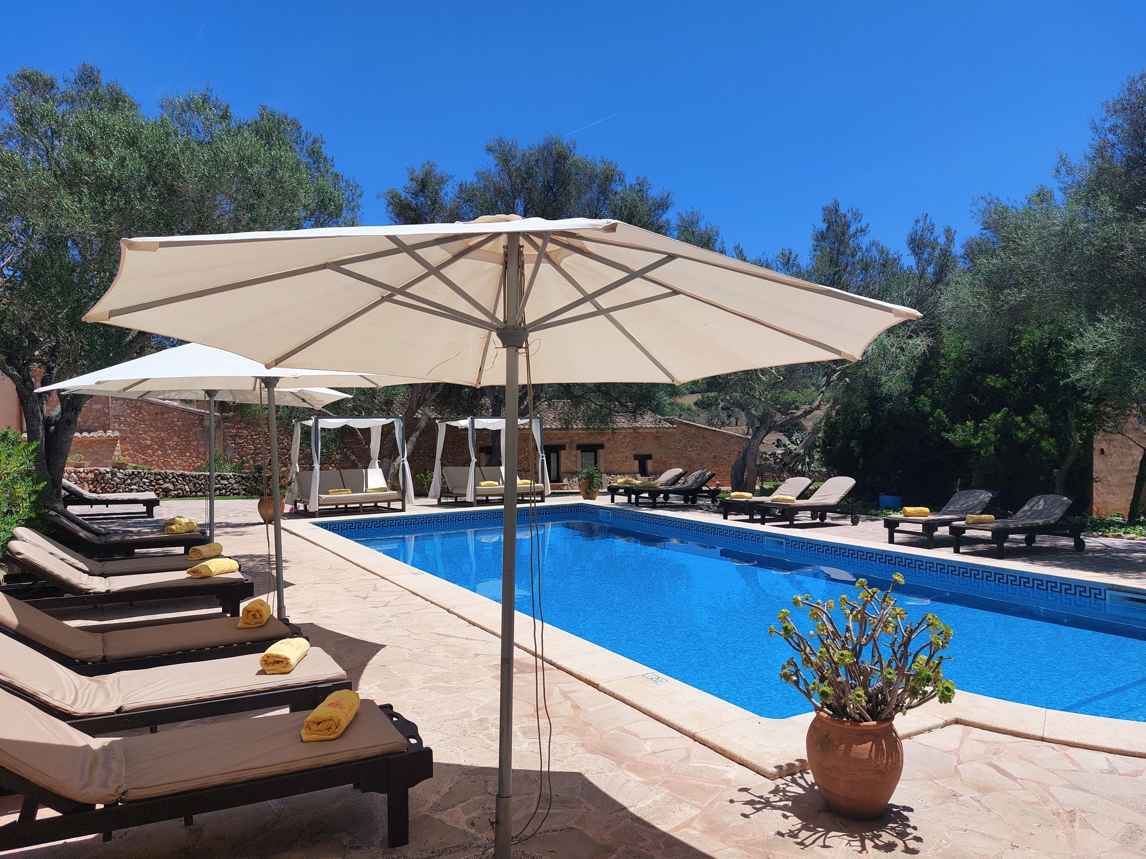 Un espace piscine agrémenté de chaises longues et de parasols, entouré d’arbres et d’un mur de pierre.