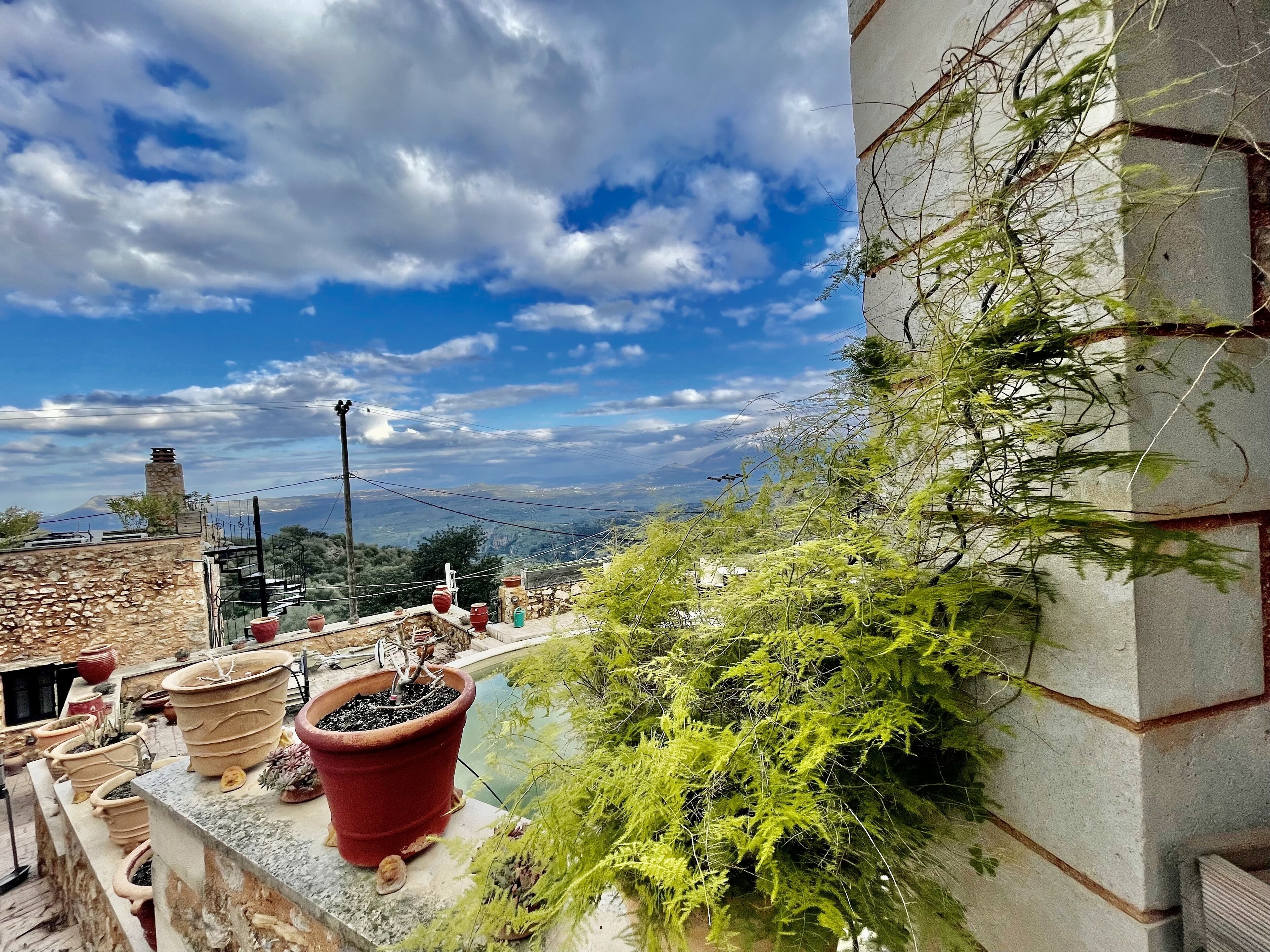 Terraza en la azotea con plantas en macetas y vistas a montañas distantes.
