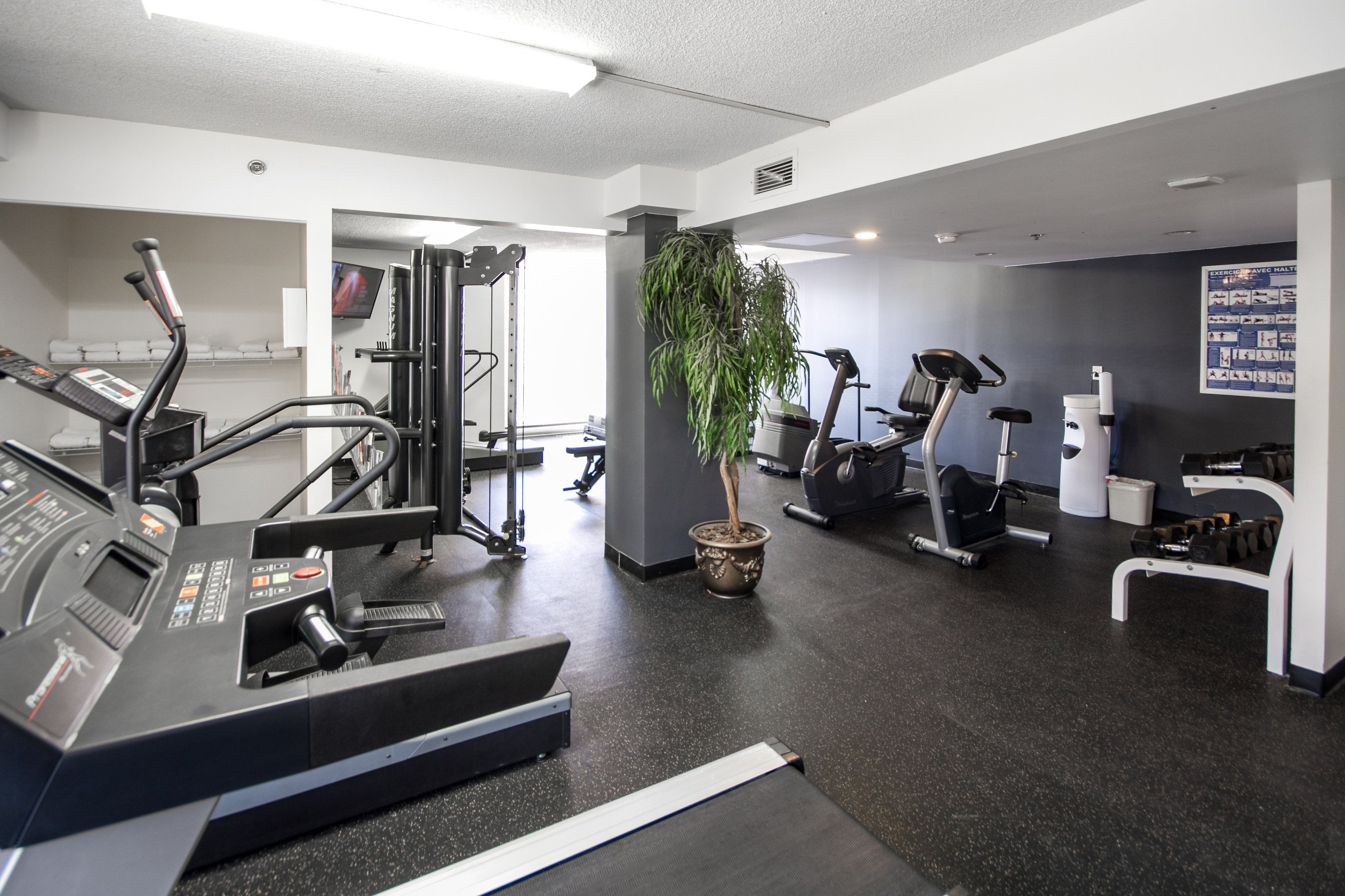 A gym with treadmills, elliptical machines, and weight equipment.