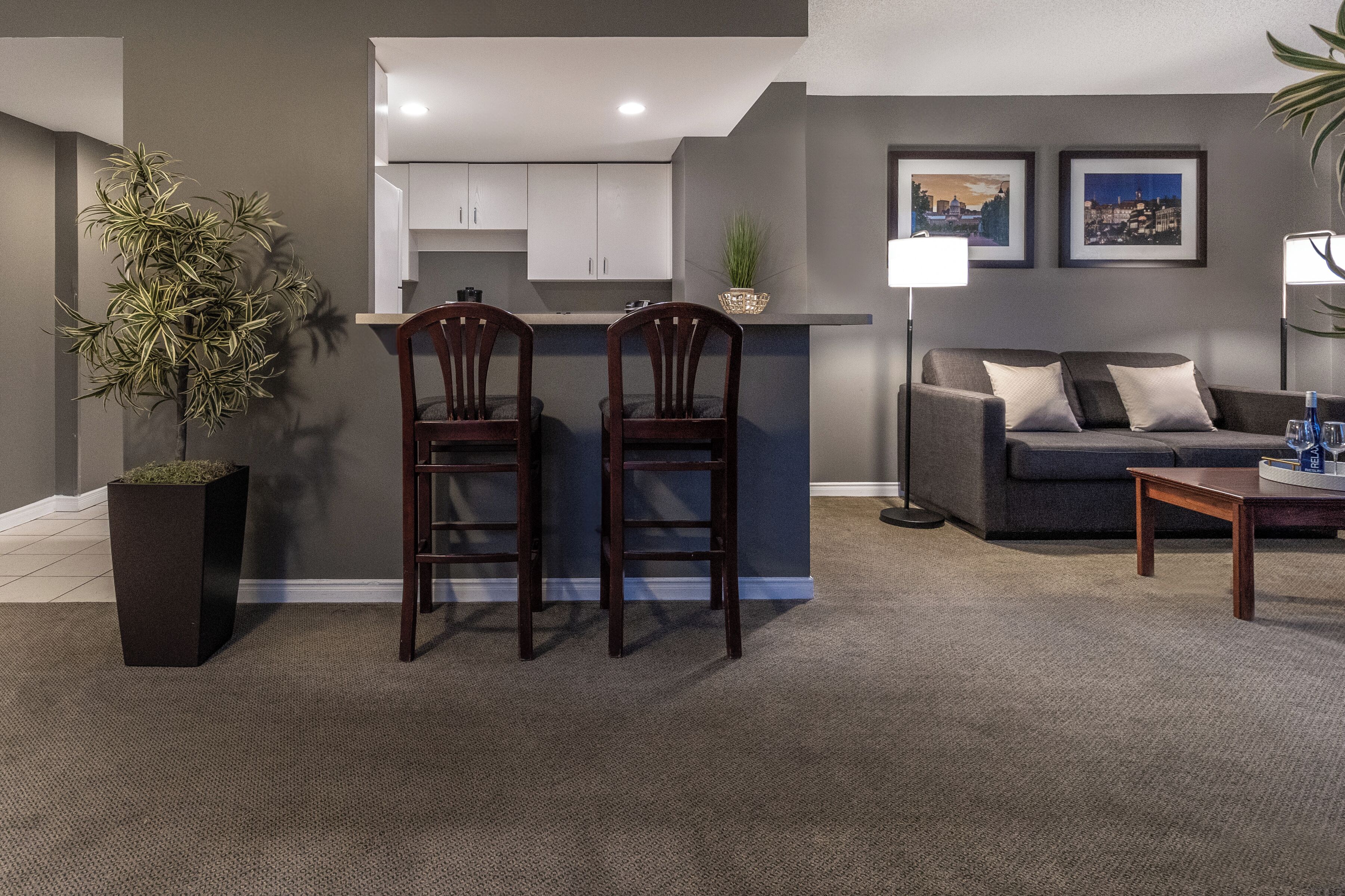 A modern living room with a dark brown carpet, two wooden chairs, a grey sofa, a coffee table, a black floor lamp, and a potted plant.