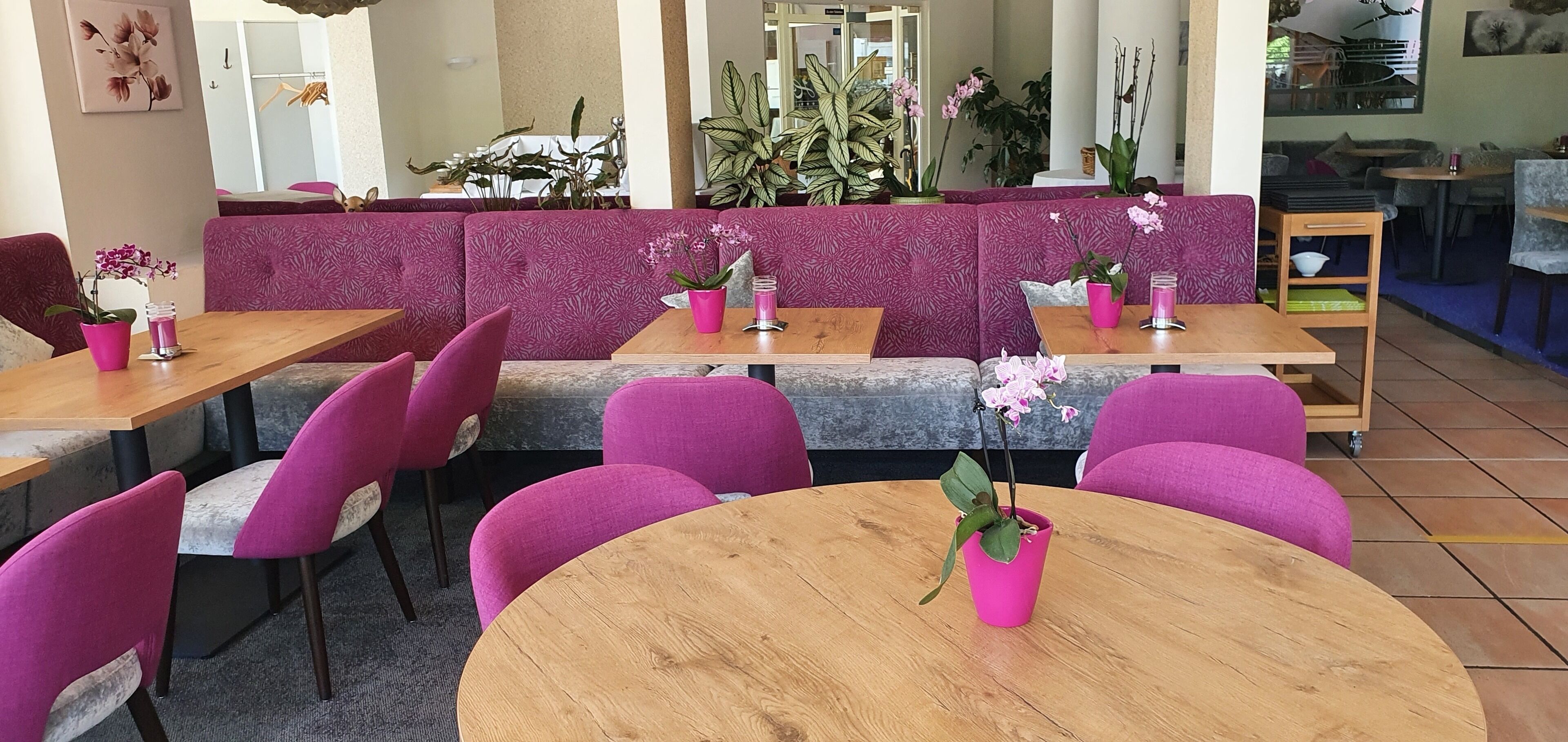 international cuisine, al fresco dining