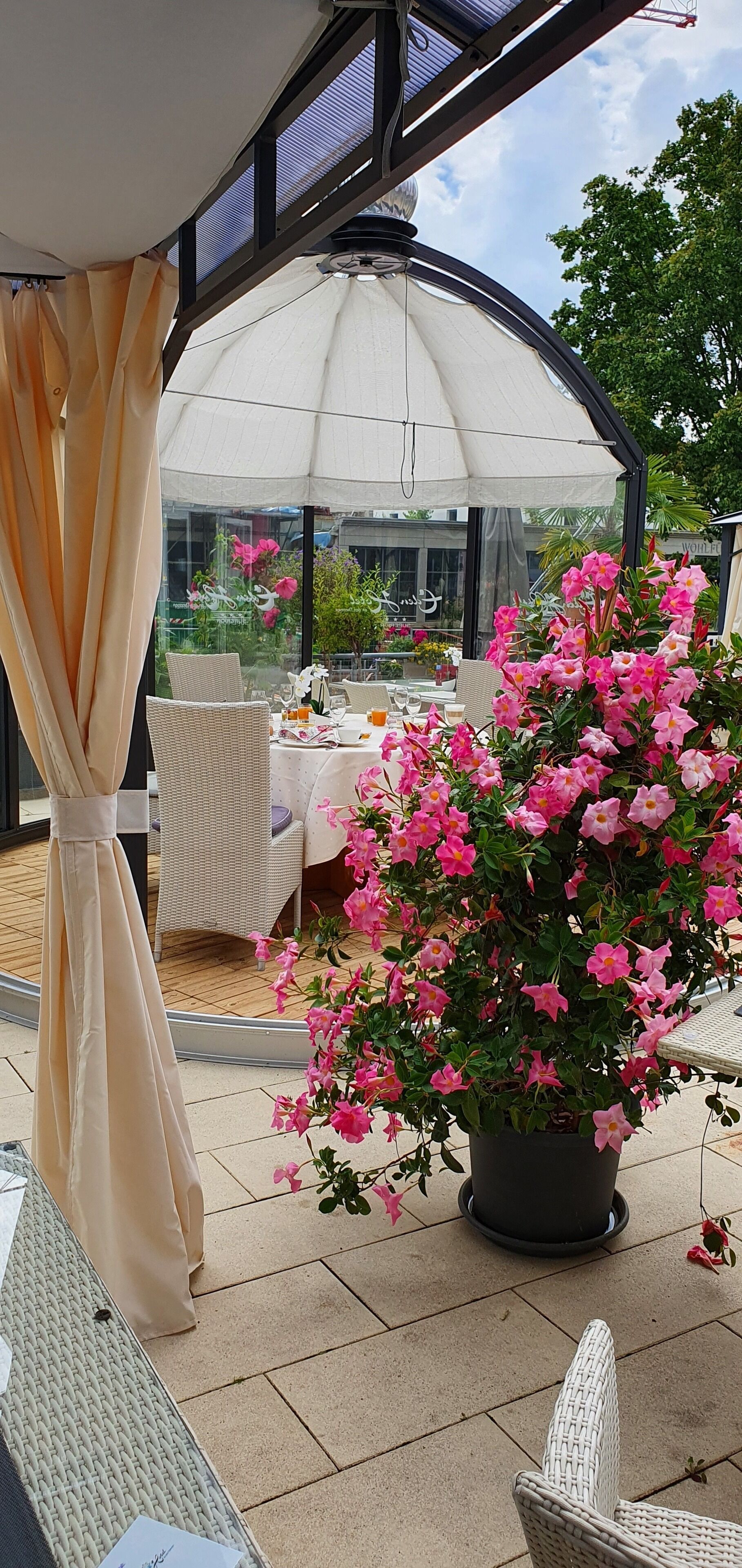 An outdoor patio area with wicker furniture, a table set for dining, and a large potted plant with pink flowers.