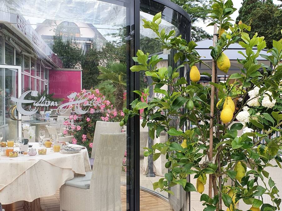A restaurant with outdoor seating, a glass enclosure, and a lemon tree in the foreground.