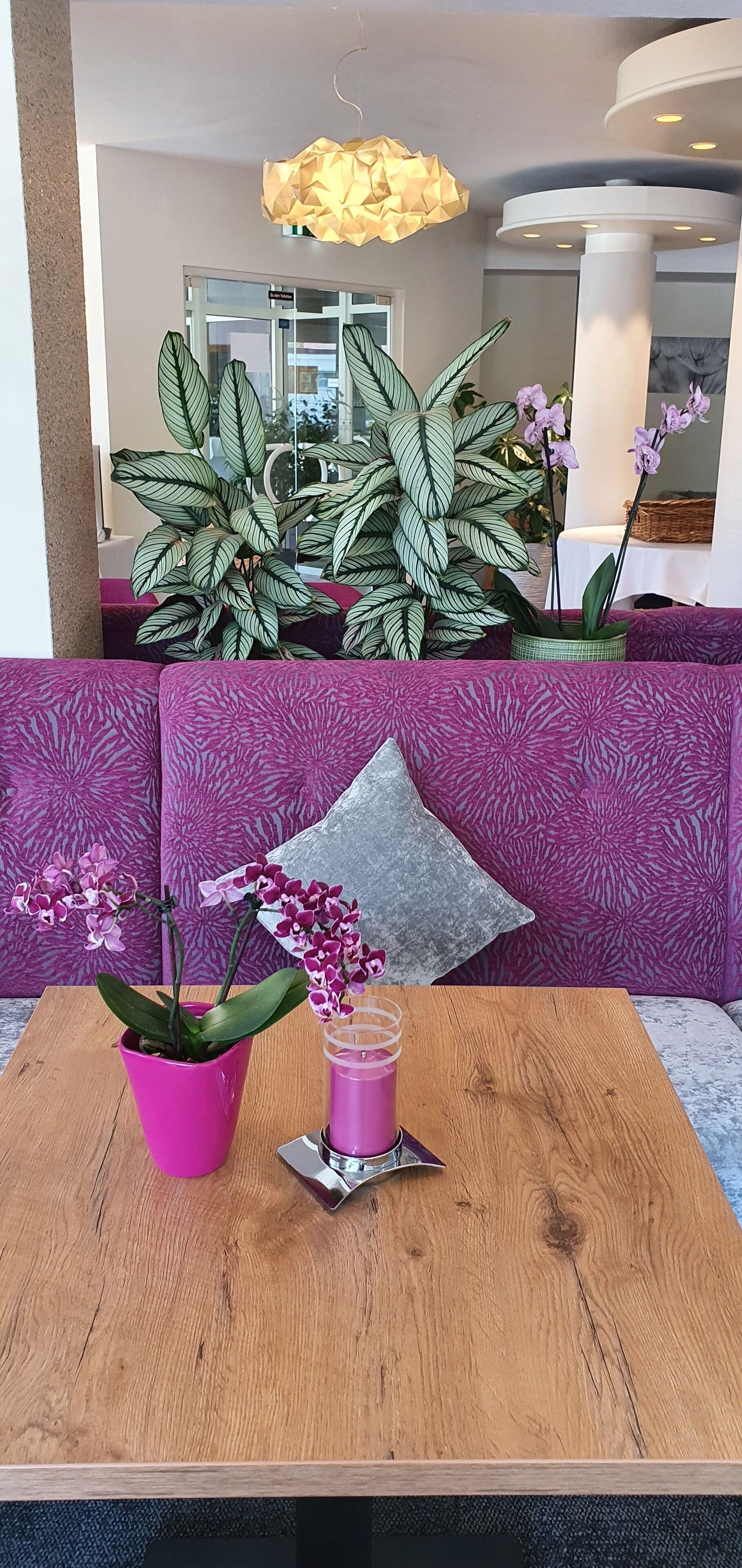 international cuisine, al fresco dining