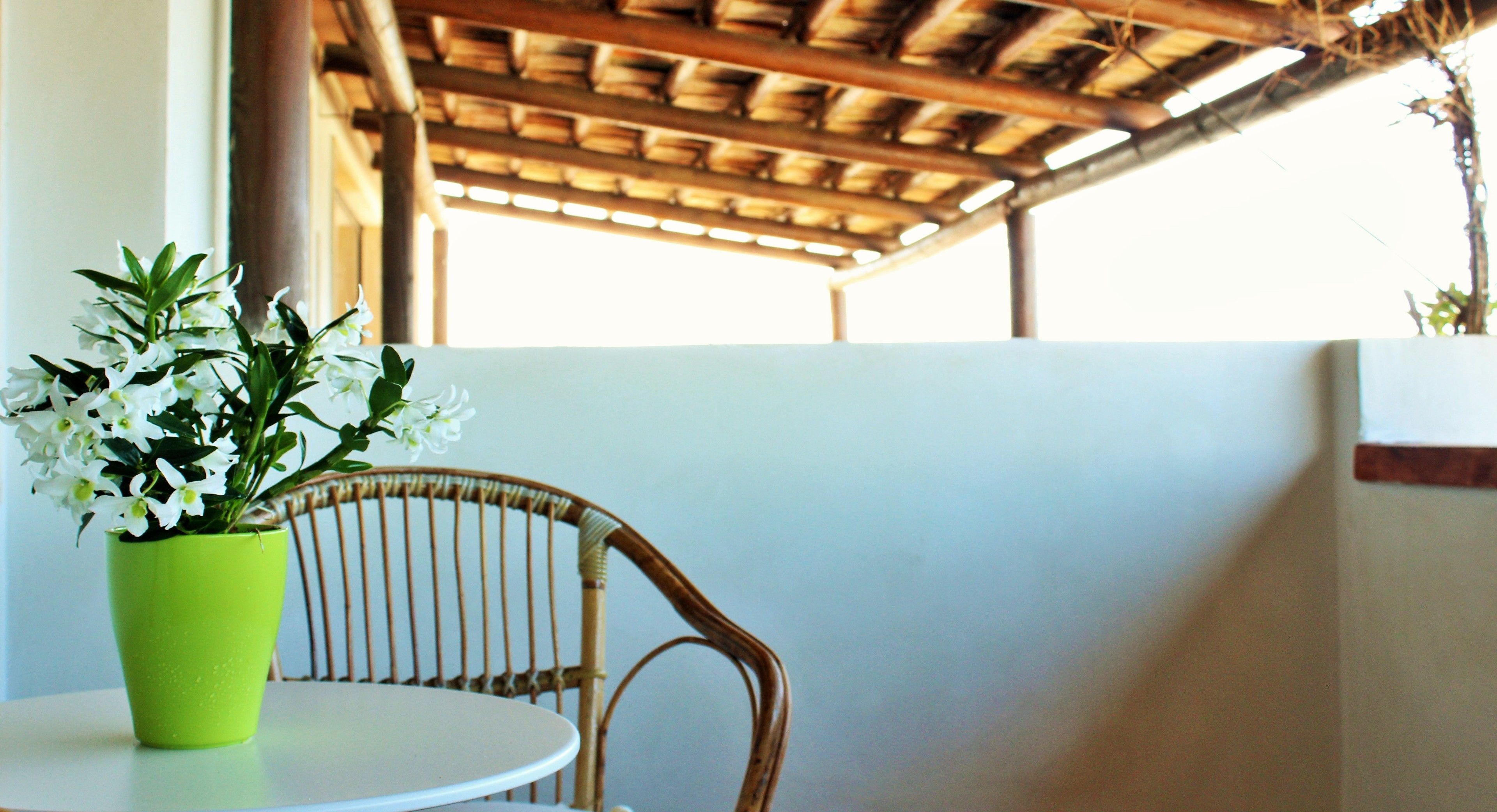 A wicker chair and a small table with a green pot of white flowers.