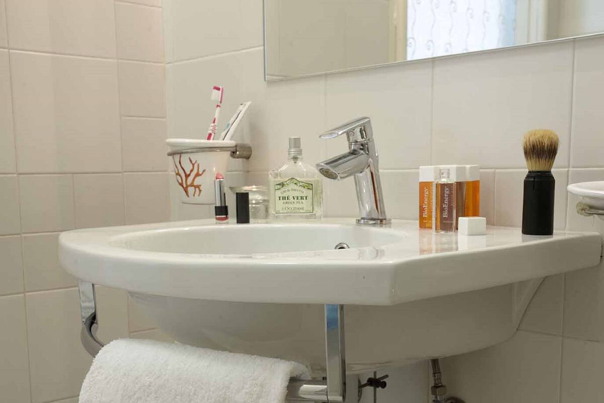 shower, free toiletries, hair dryer, bidet