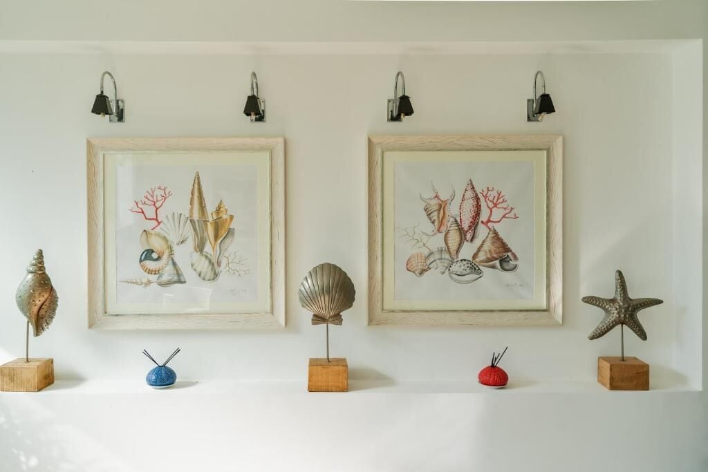 Two framed artworks with shells and starfish on a wall, each with a small stand below.