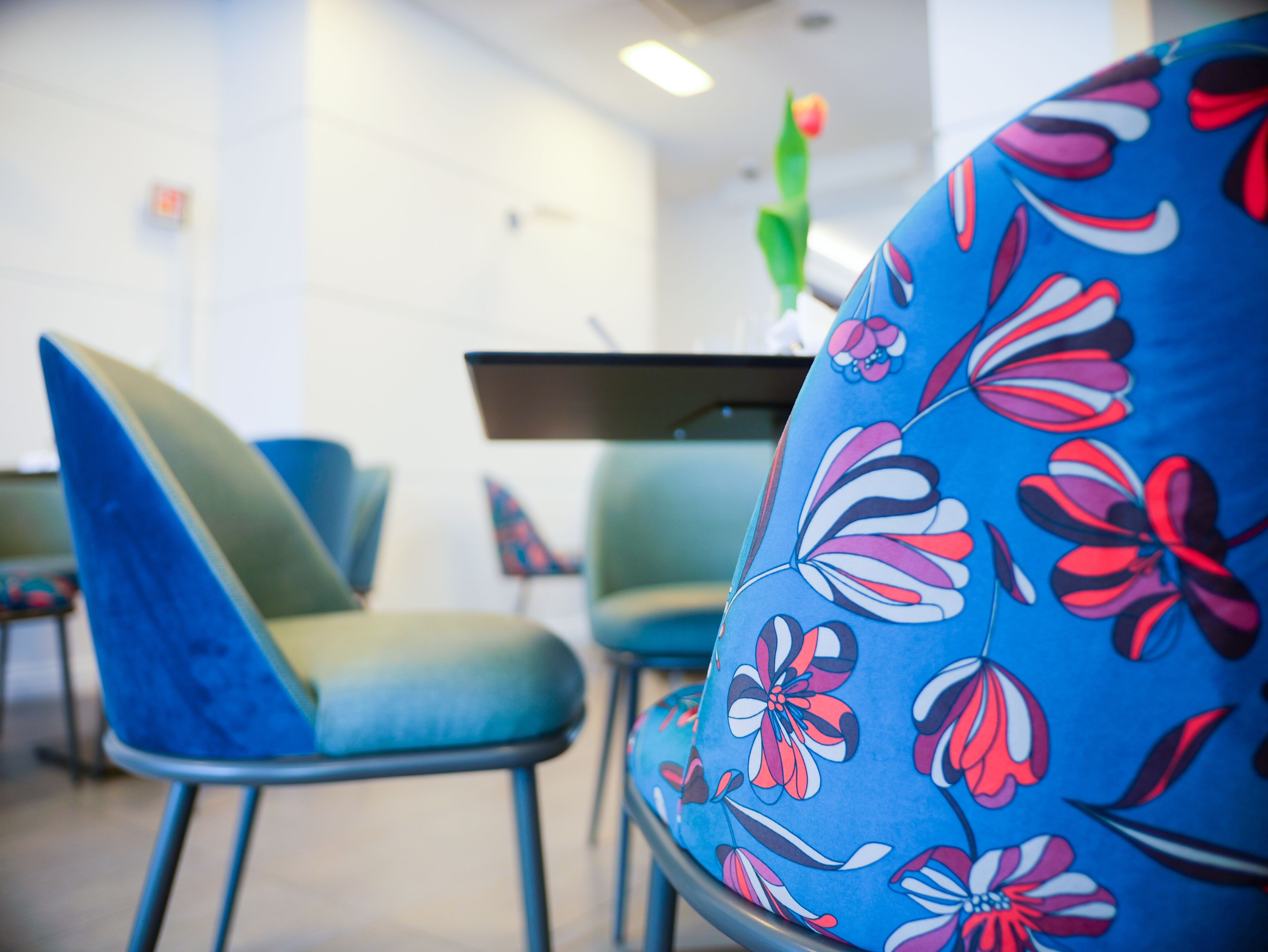 breakfast and dinner served, italian cuisine