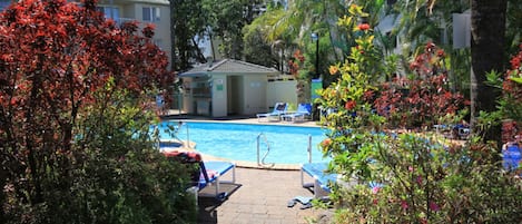 Outdoor pool, open 7:30 AM to 9:30 PM, pool loungers
