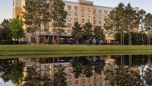 Un hôtel Sheraton dont l’image se reflète dans un étang, entouré d’arbres et d’une pelouse bien entretenue.
